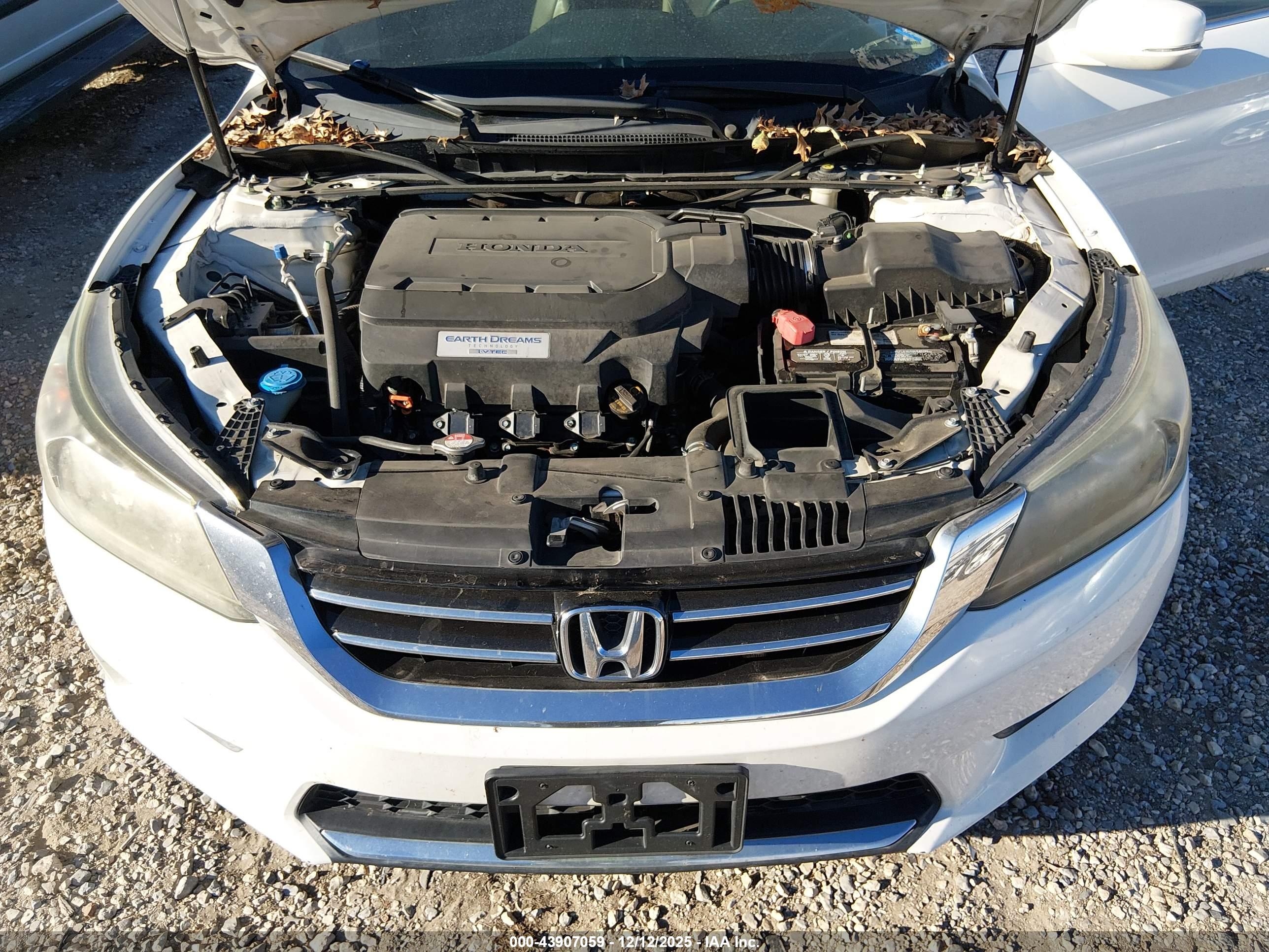 HONDA ACCORD image 10