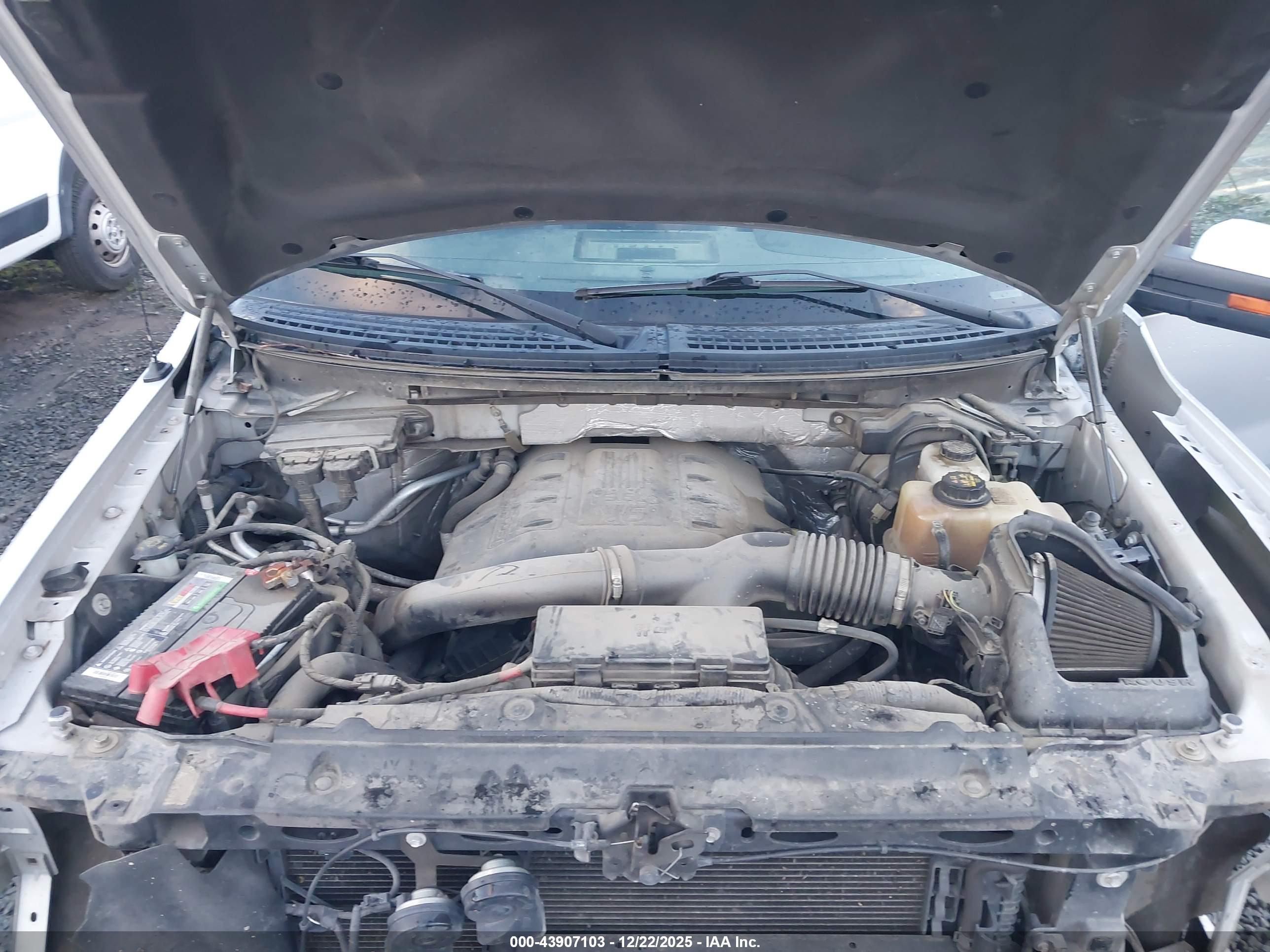 FORD F-150 image 10