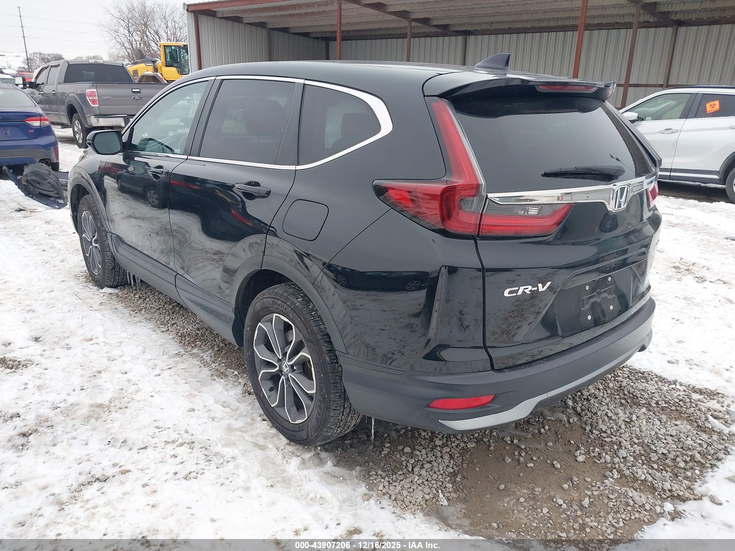 HONDA CR-V image 3
