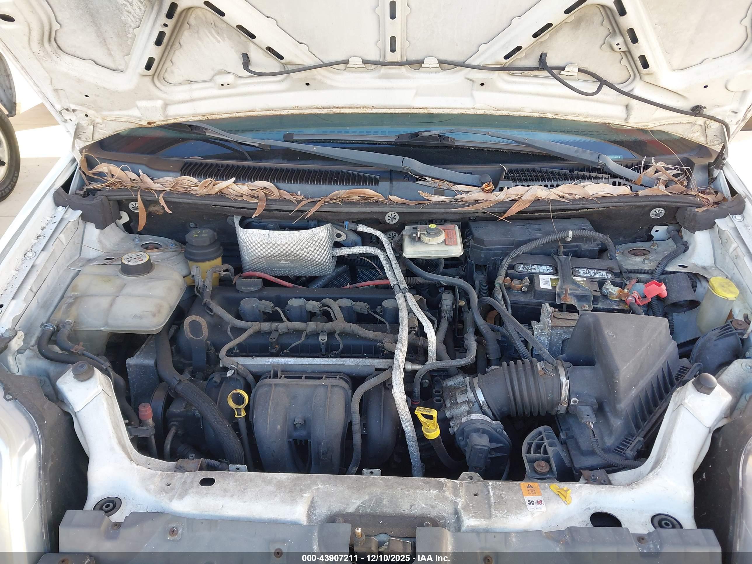 FORD TRANSIT image 10