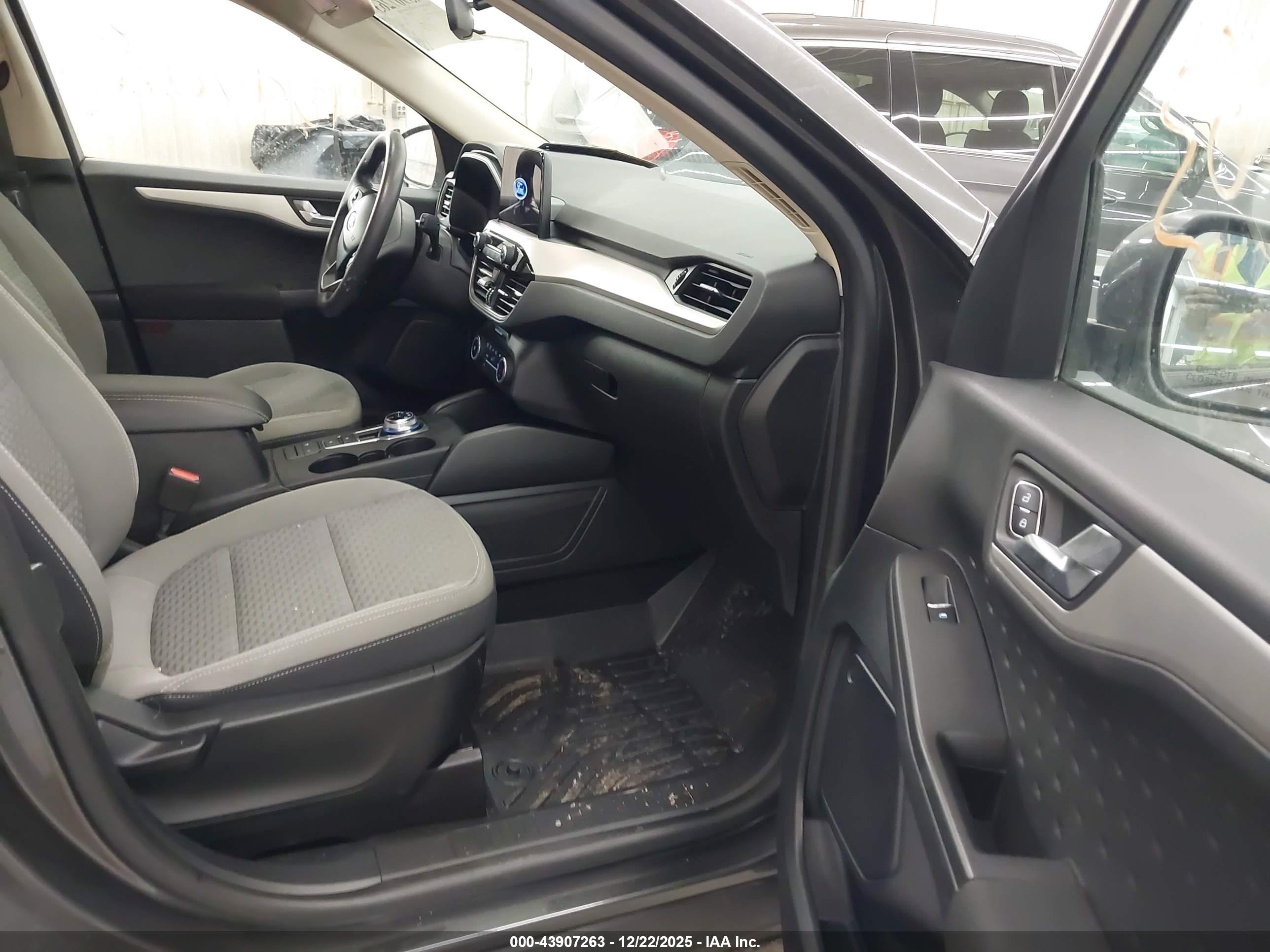 FORD ESCAPE image 5