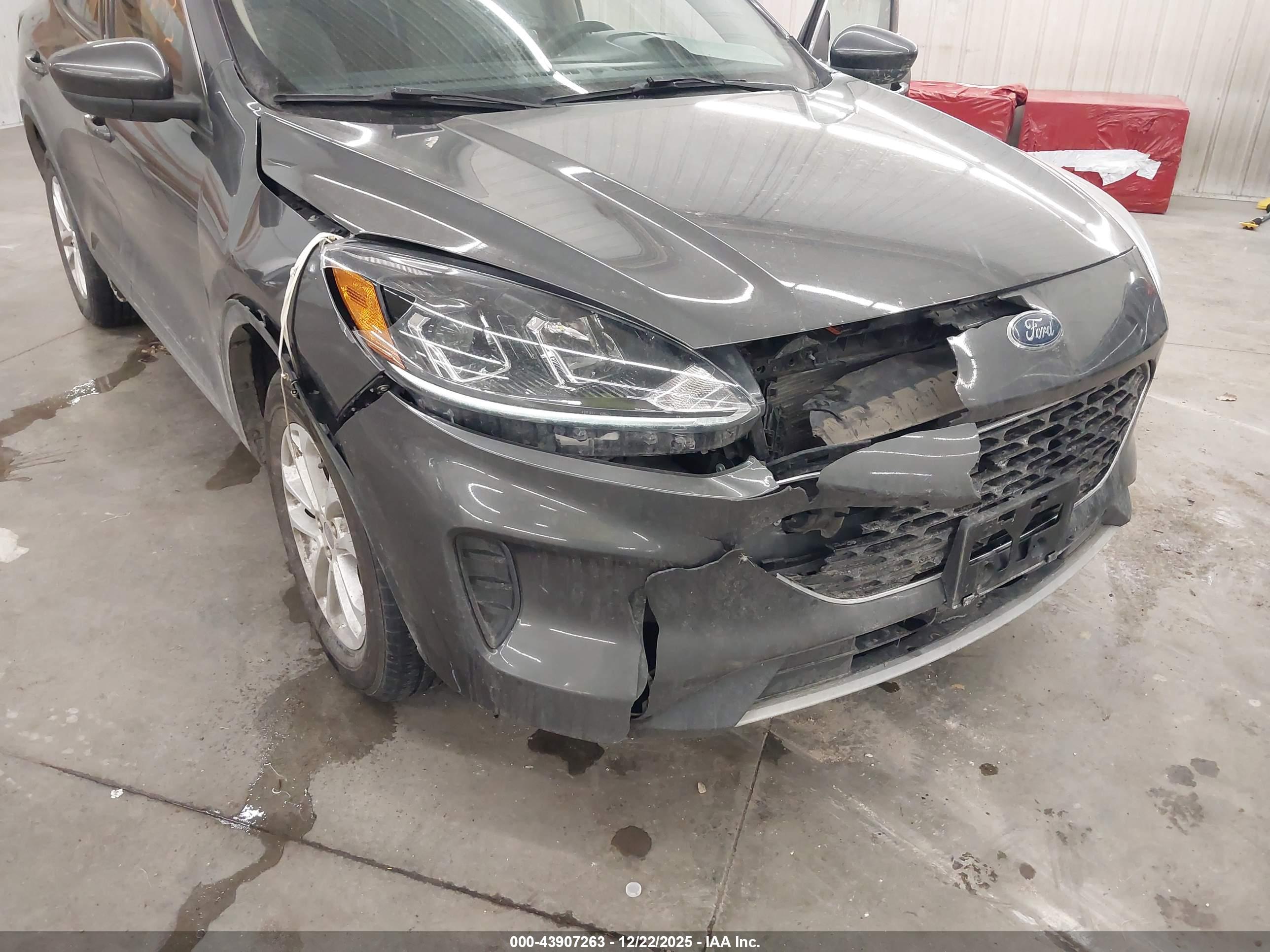 FORD ESCAPE image 6