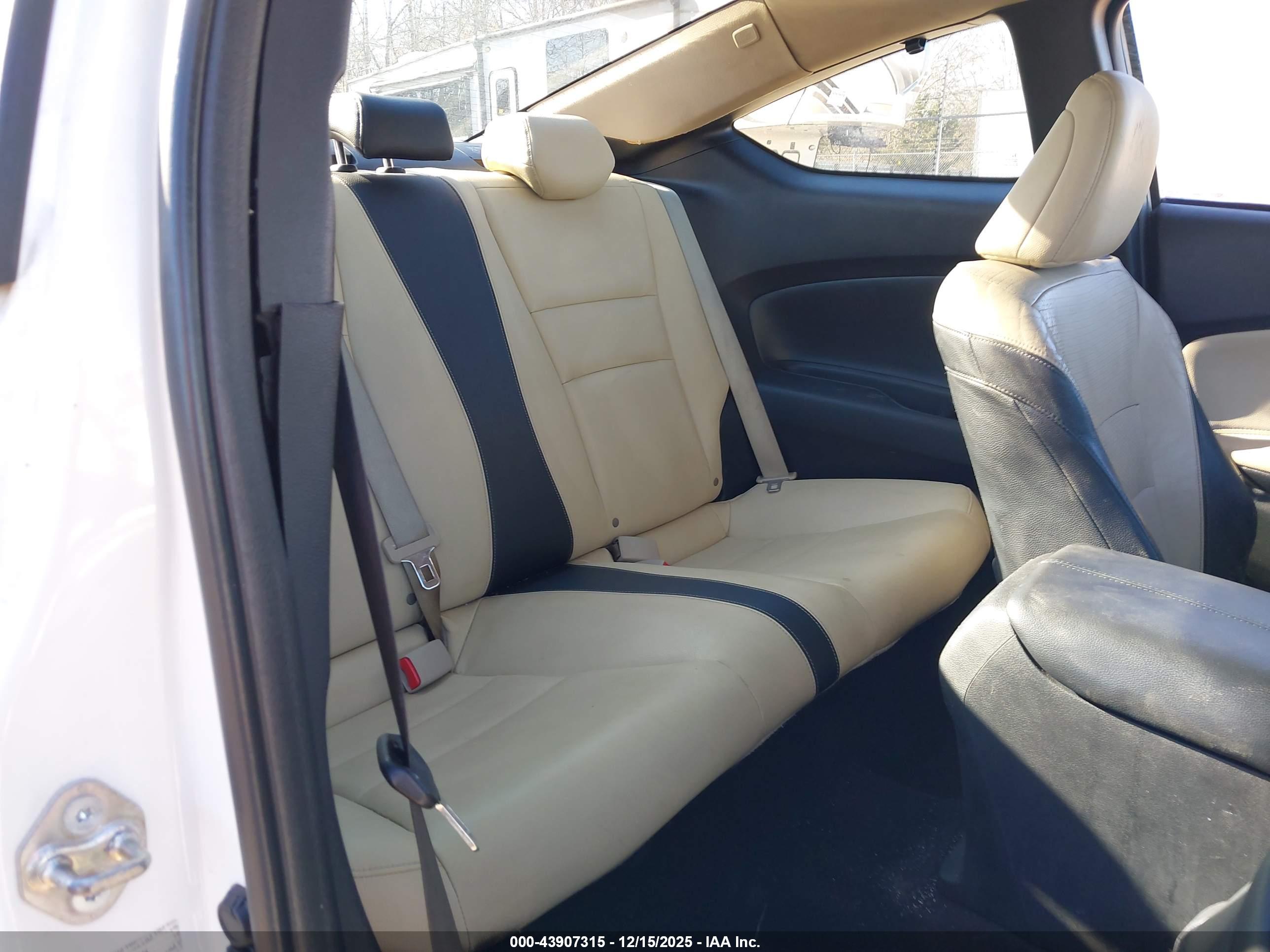 HONDA ACCORD image 8