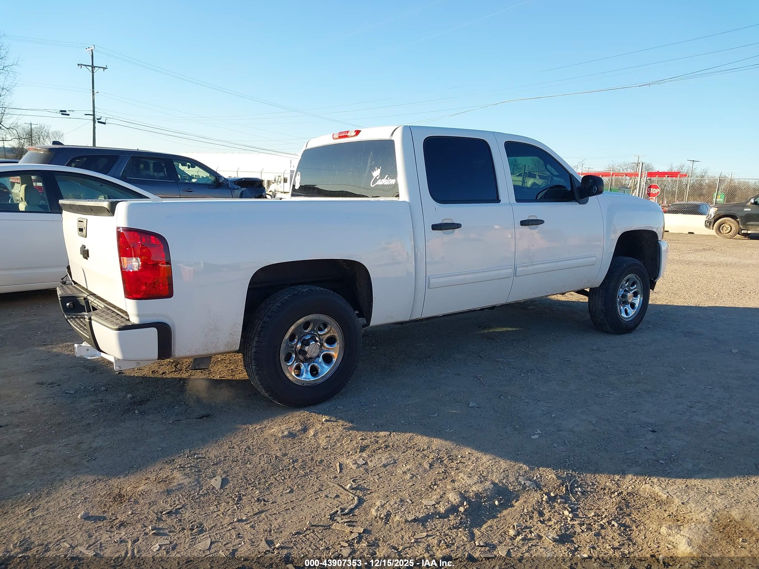 CHEVROLET SILVERADO image 4
