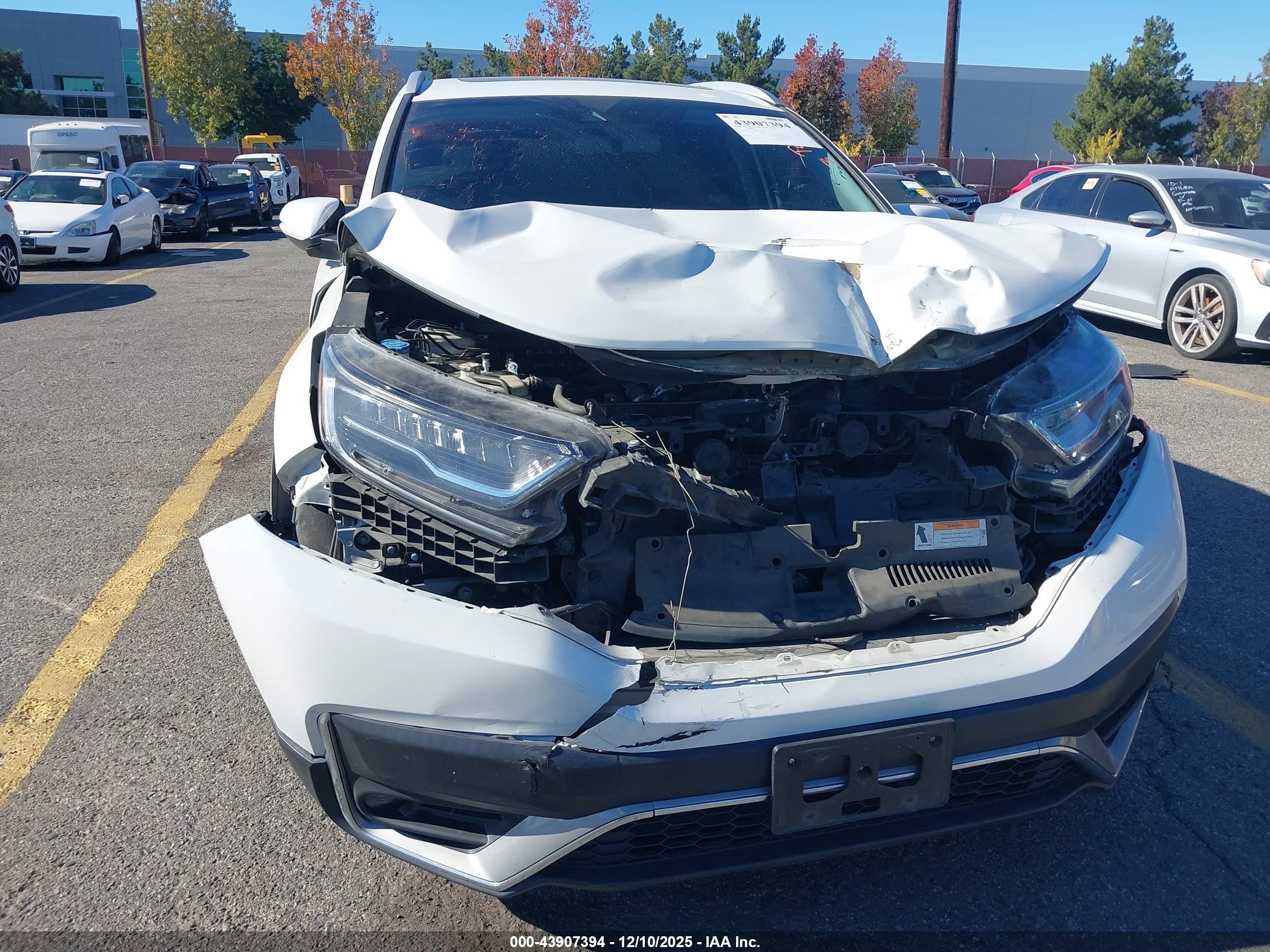 HONDA CR-V image 6