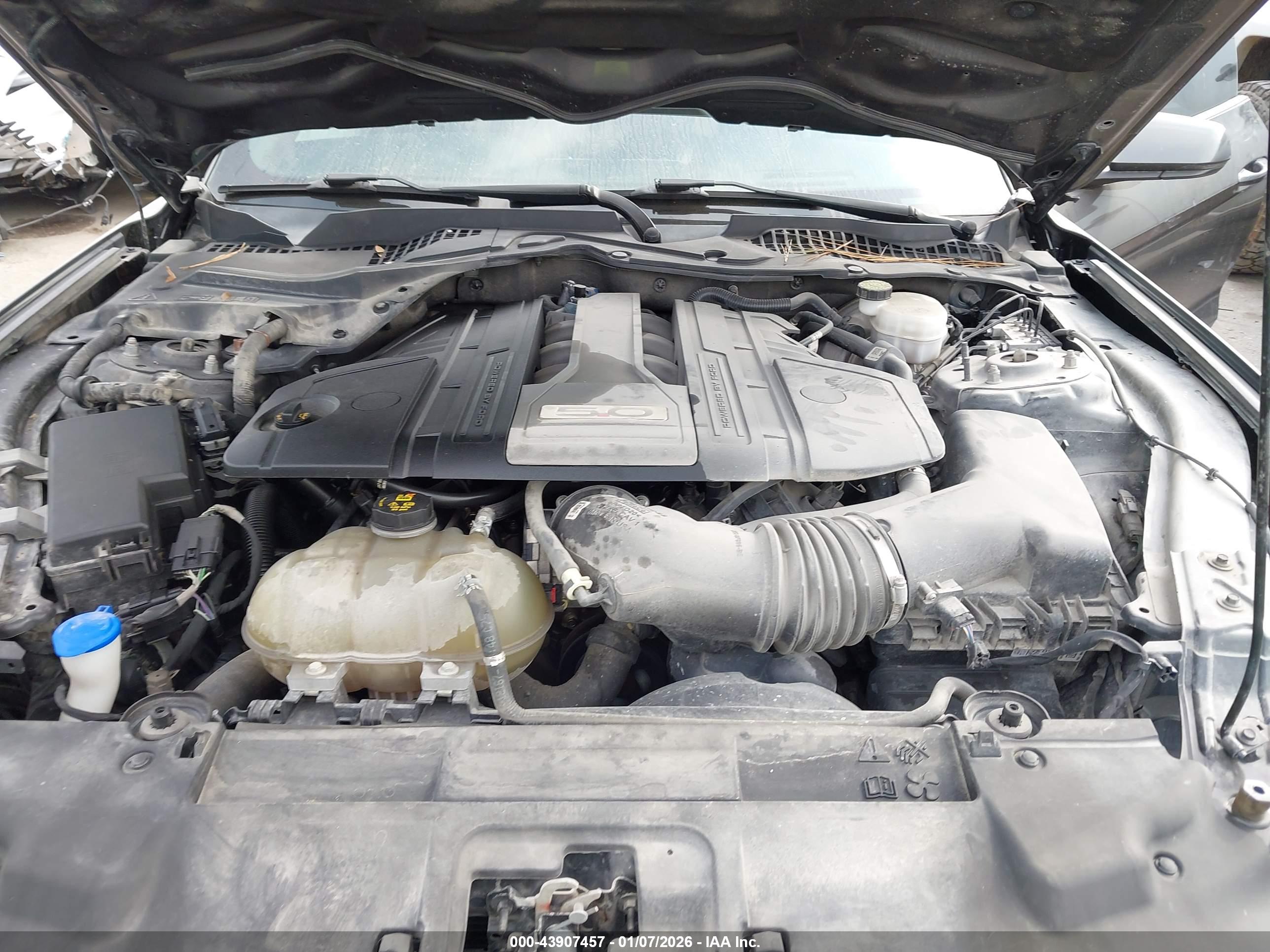 FORD MUSTANG image 10