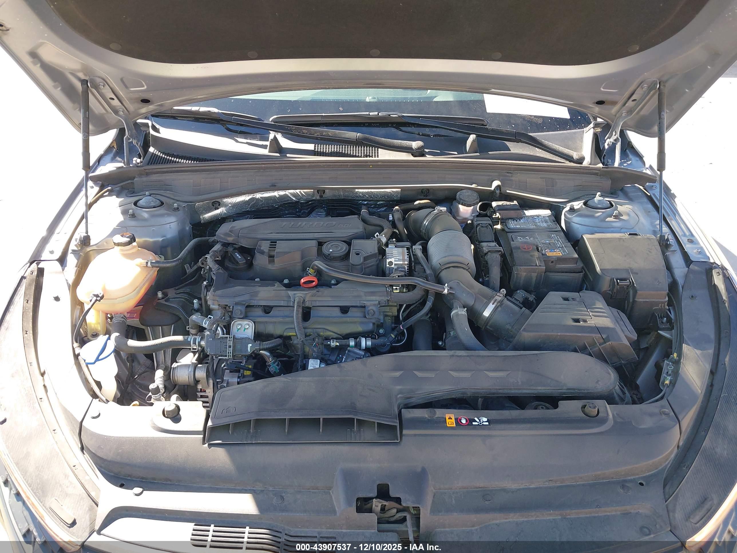 KIA K5 image 10