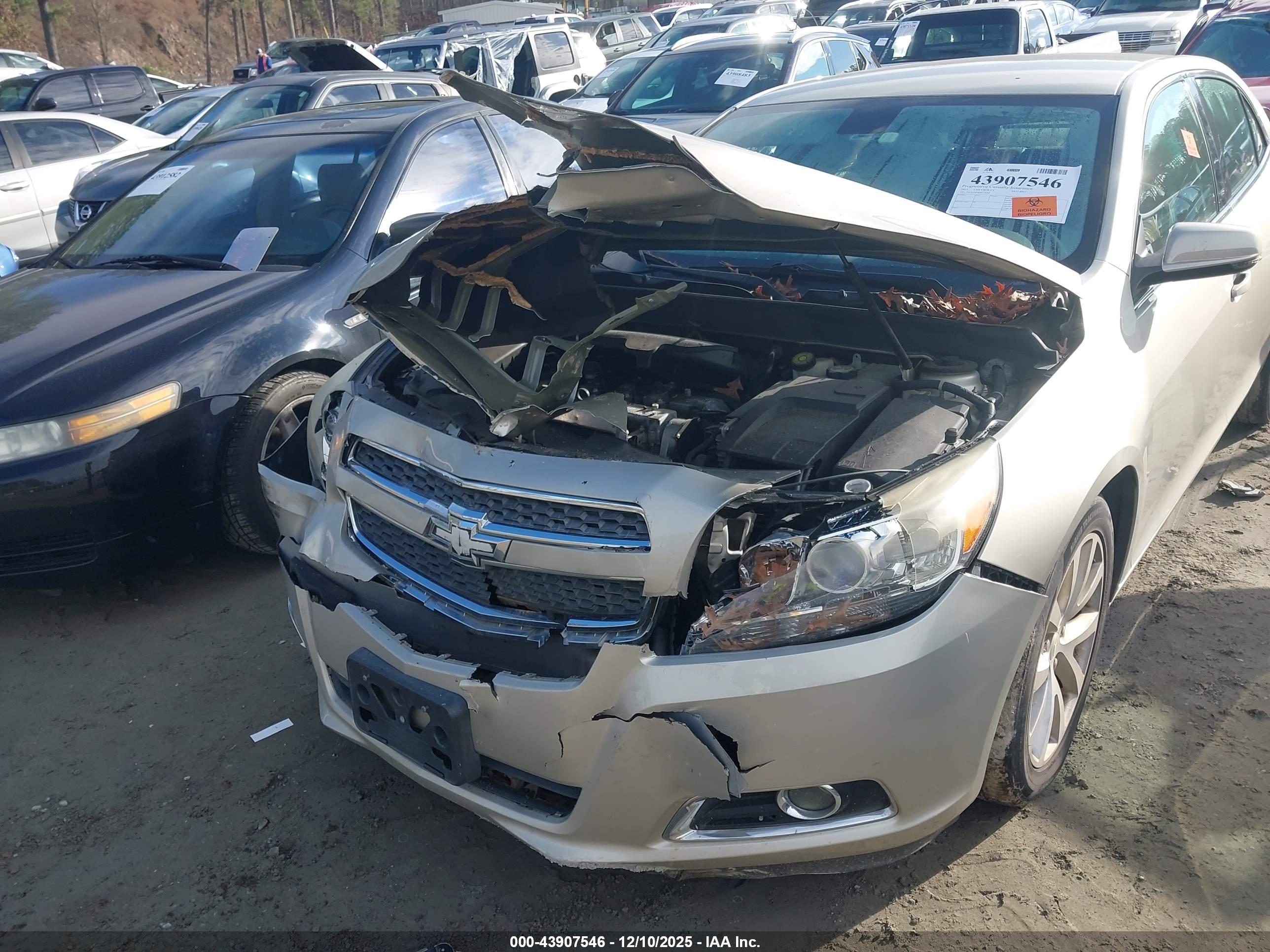 CHEVROLET MALIBU image 6