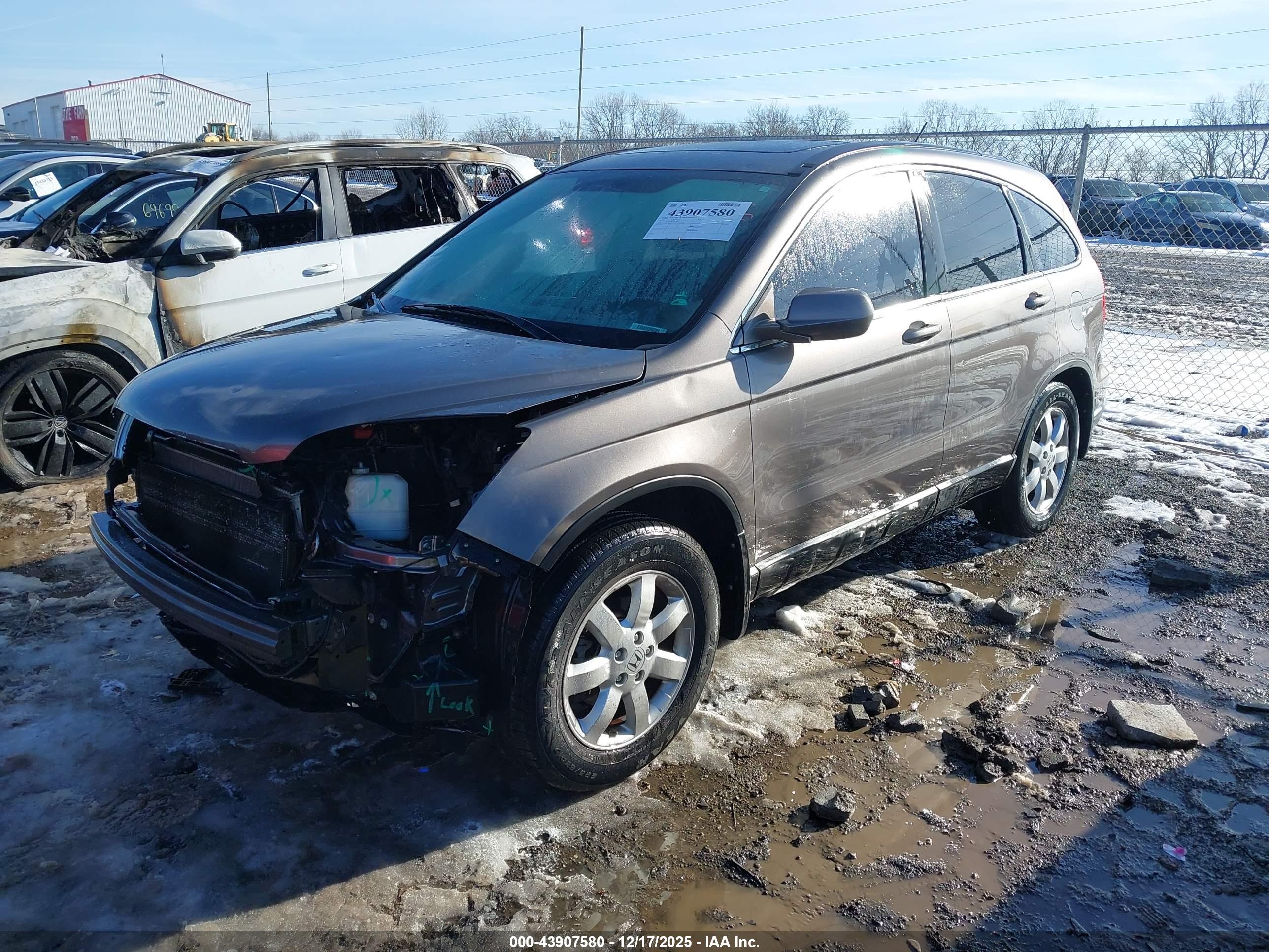 HONDA CR-V image 2