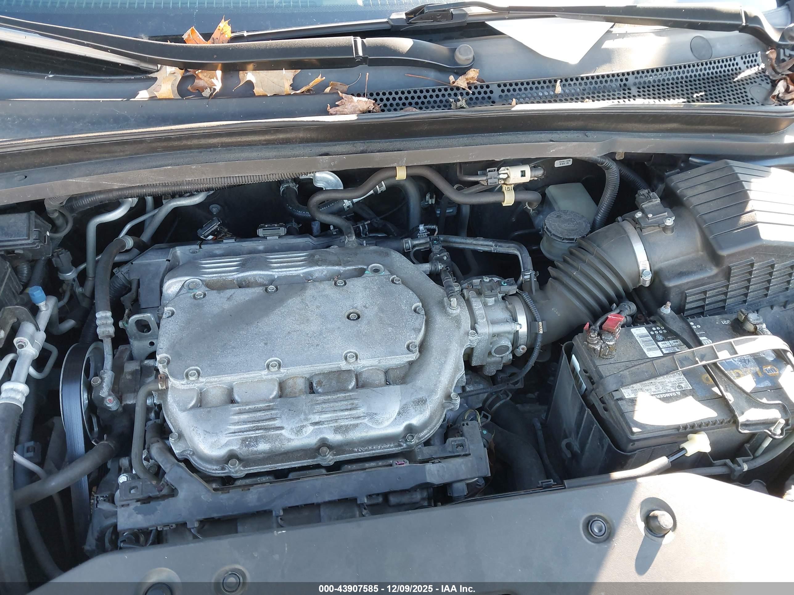 HONDA ODYSSEY image 6
