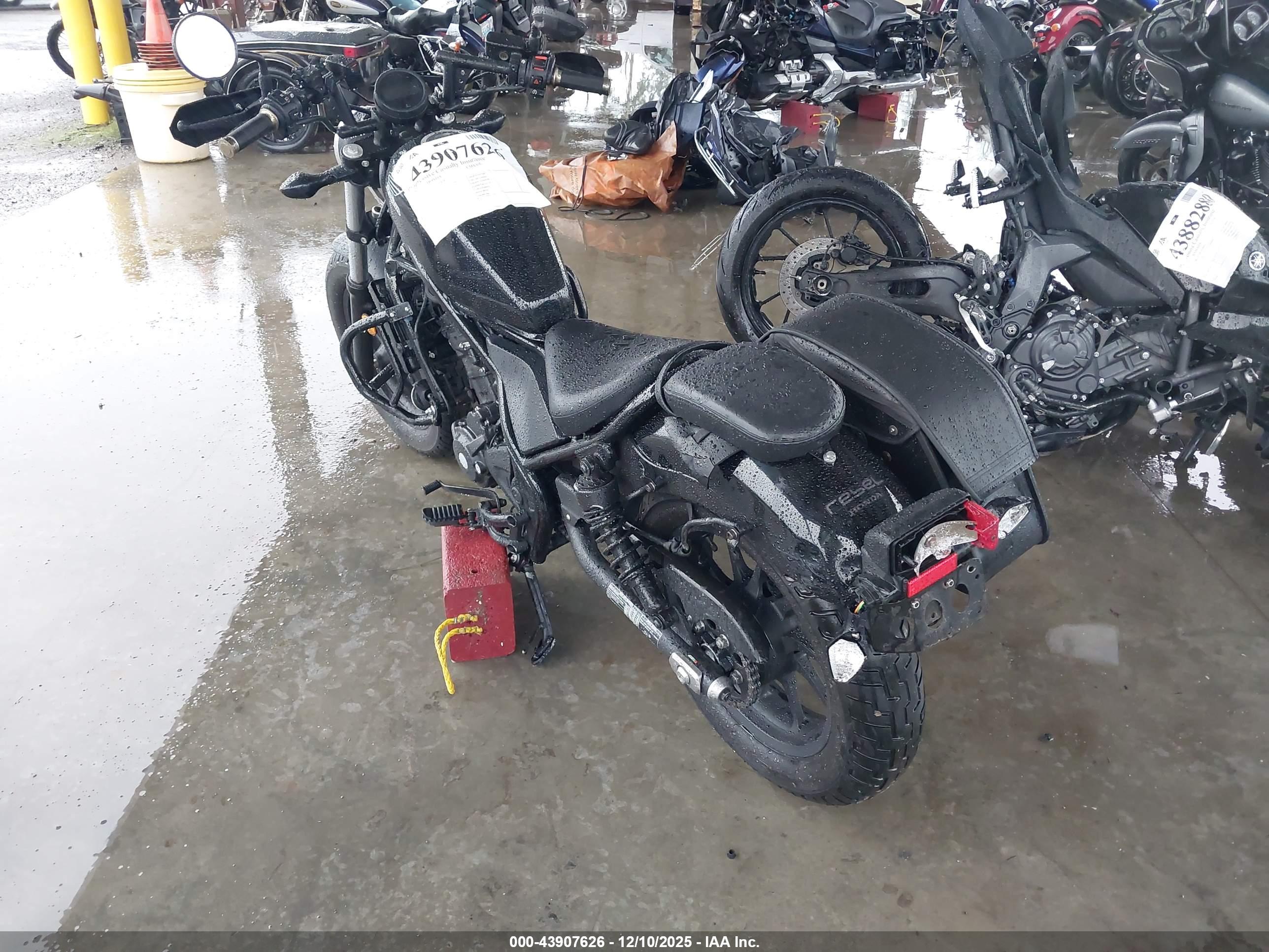 HONDA CMX300 image 3