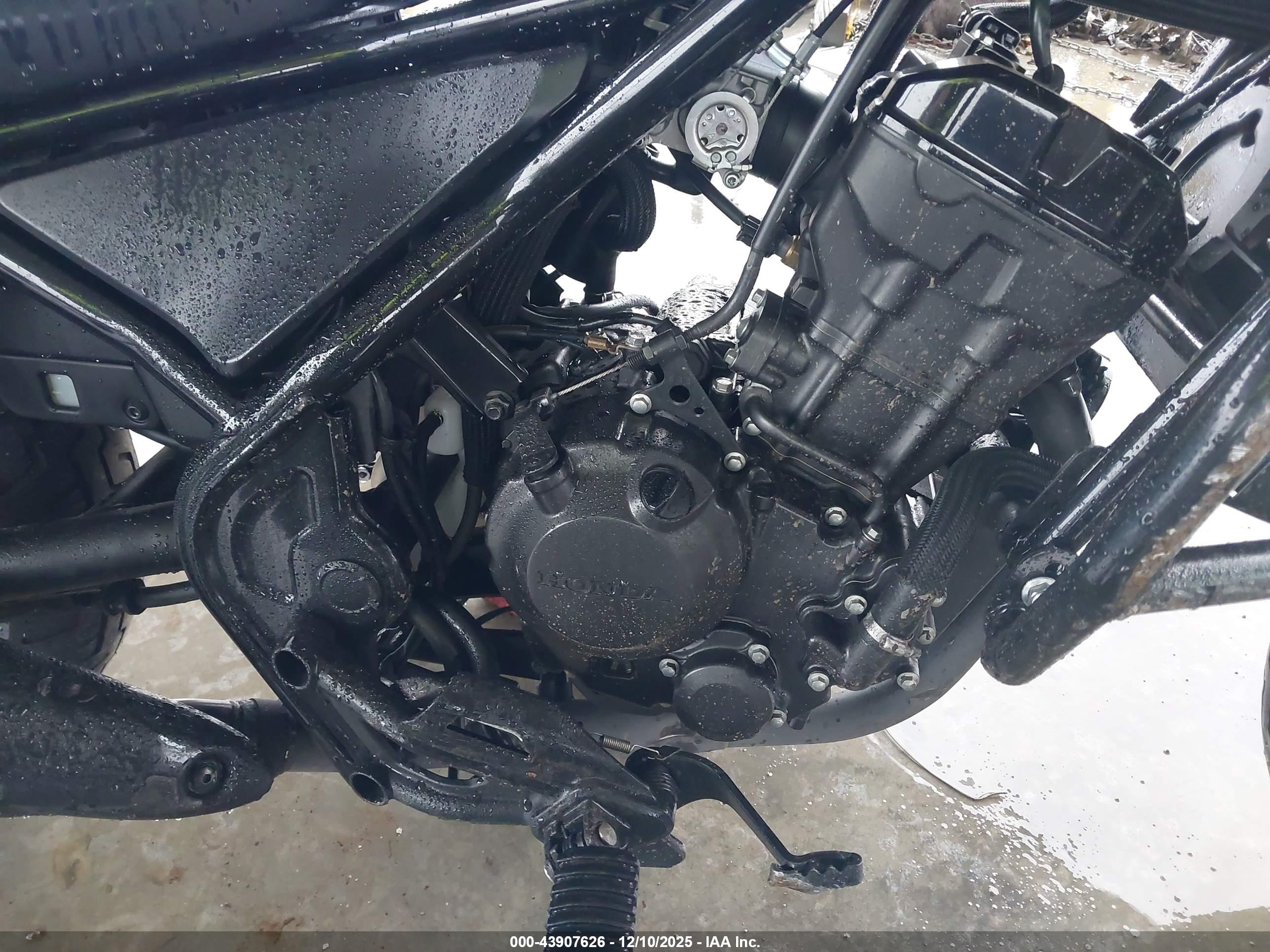 HONDA CMX300 image 8