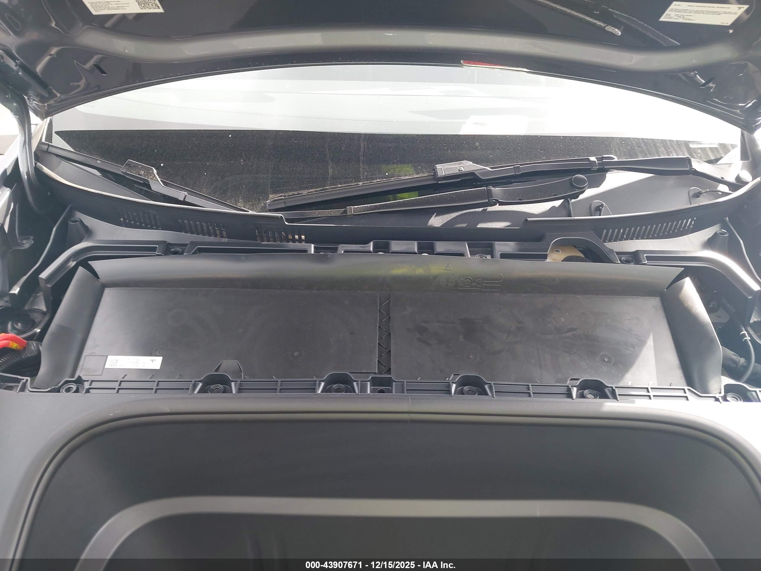 TESLA MODEL image 10