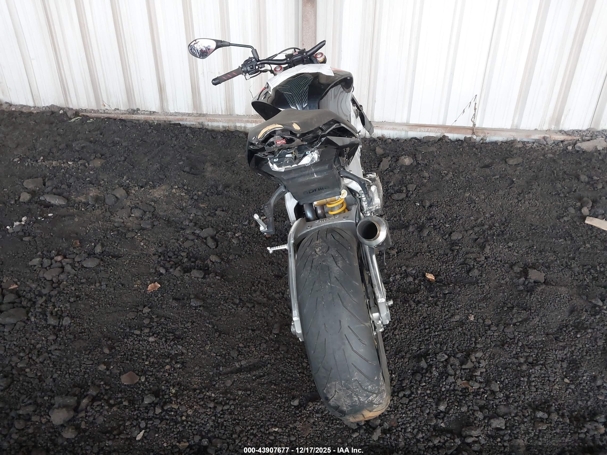 APRILIA TUONO image 6