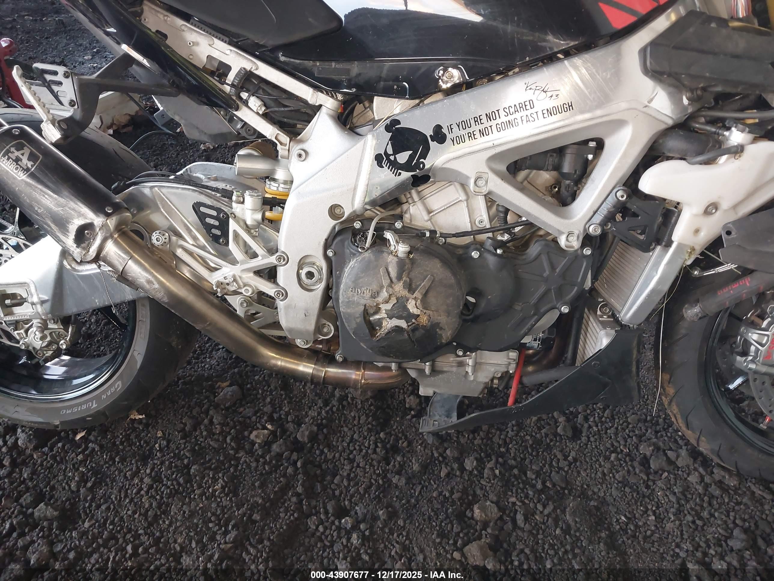 APRILIA TUONO image 8