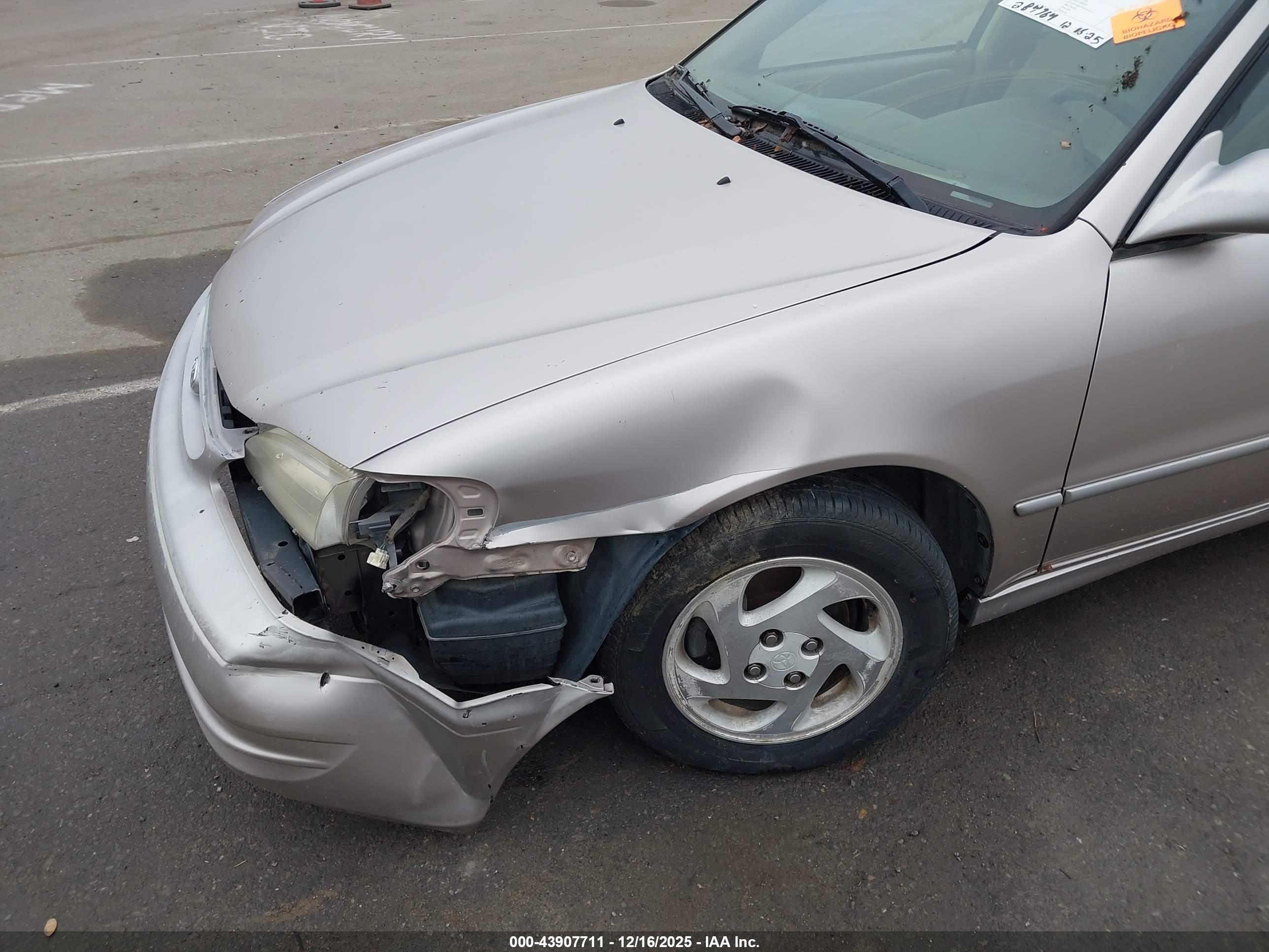 TOYOTA COROLLA image 6