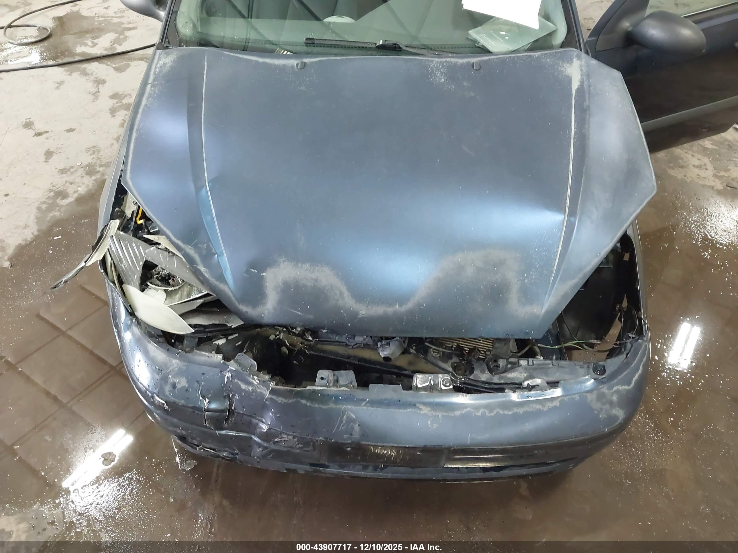 FORD FOCUS image 10