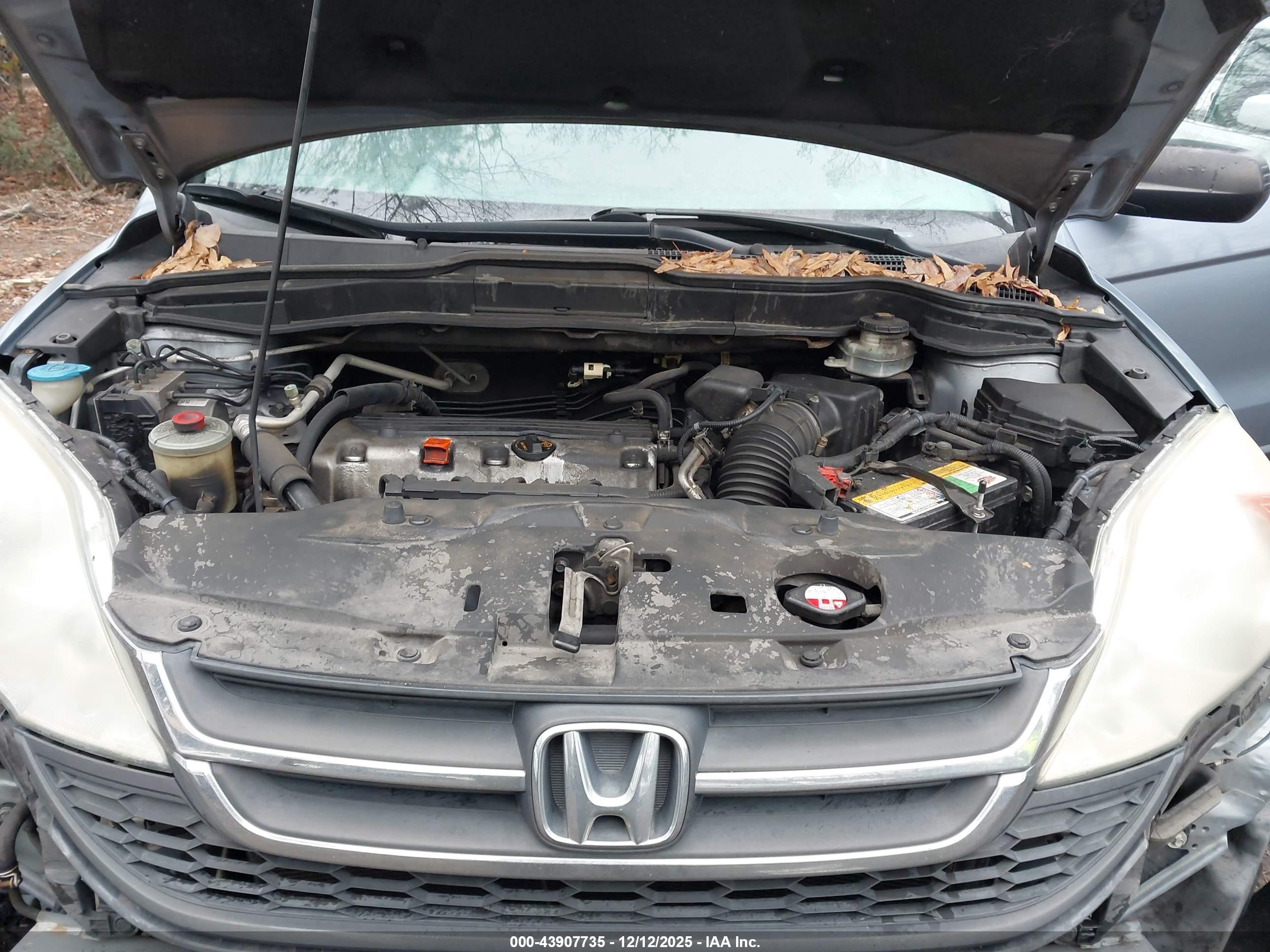 HONDA CR-V image 10