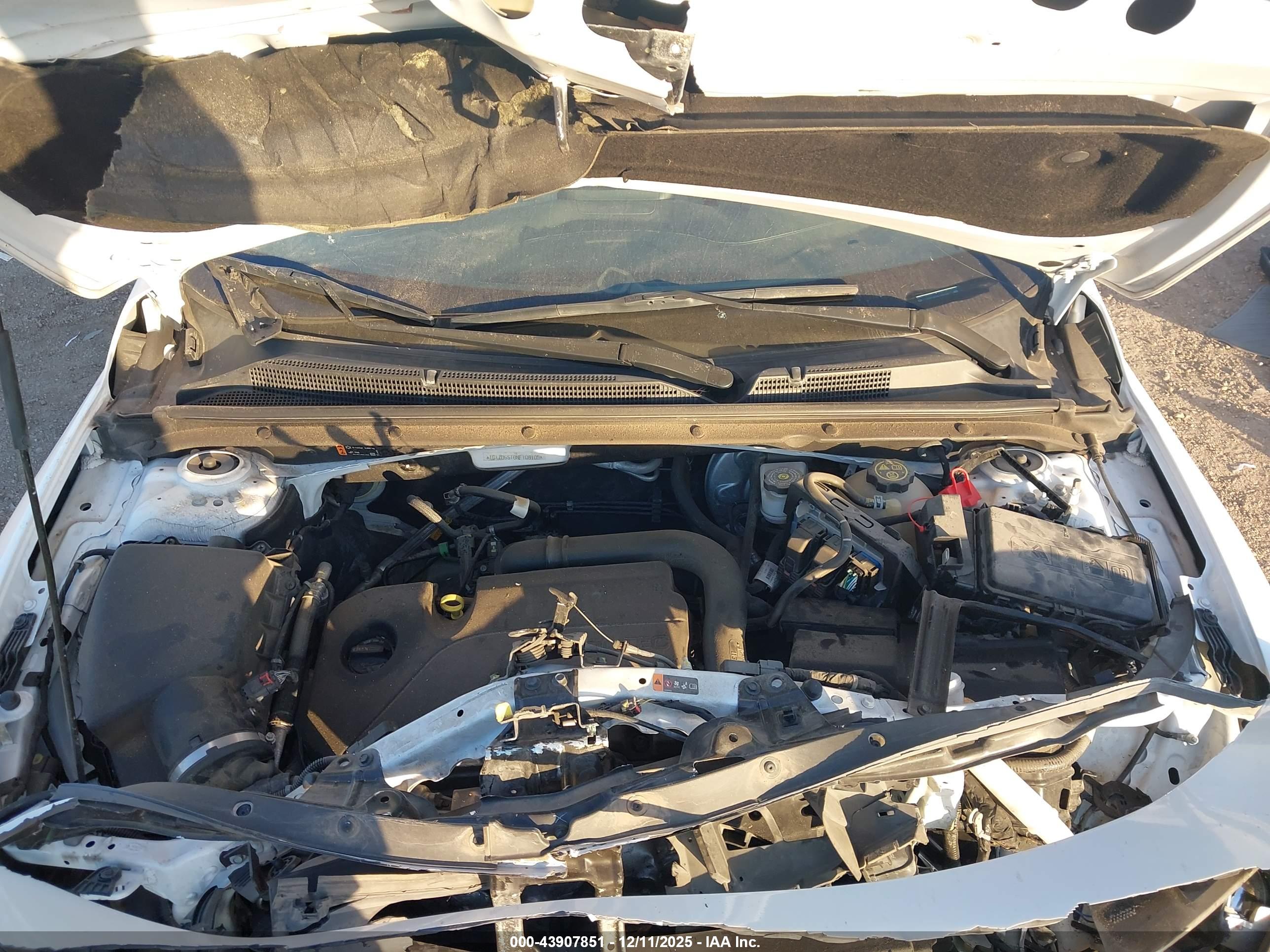 CHEVROLET MALIBU image 10