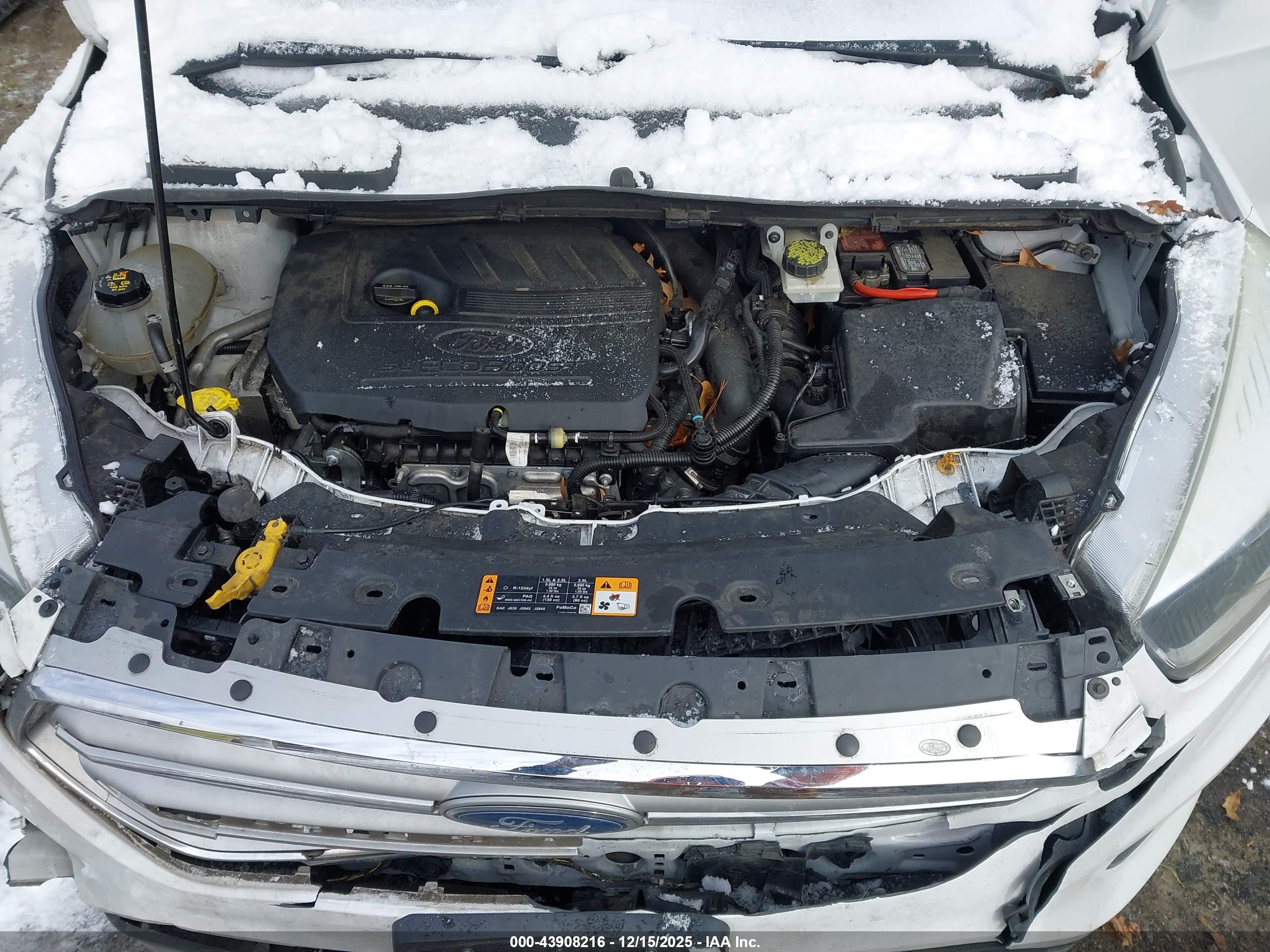 FORD ESCAPE image 10