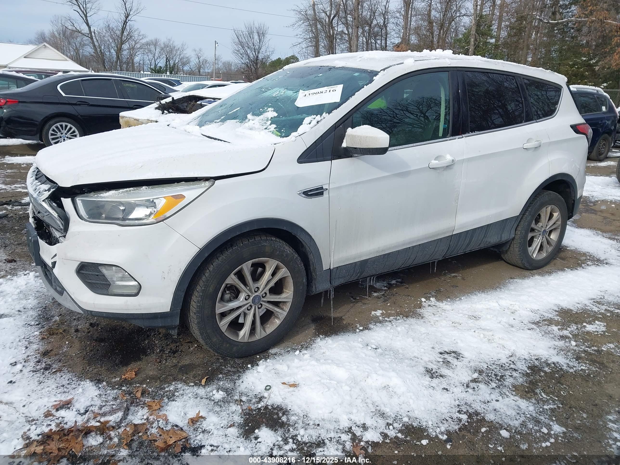 FORD ESCAPE image 2
