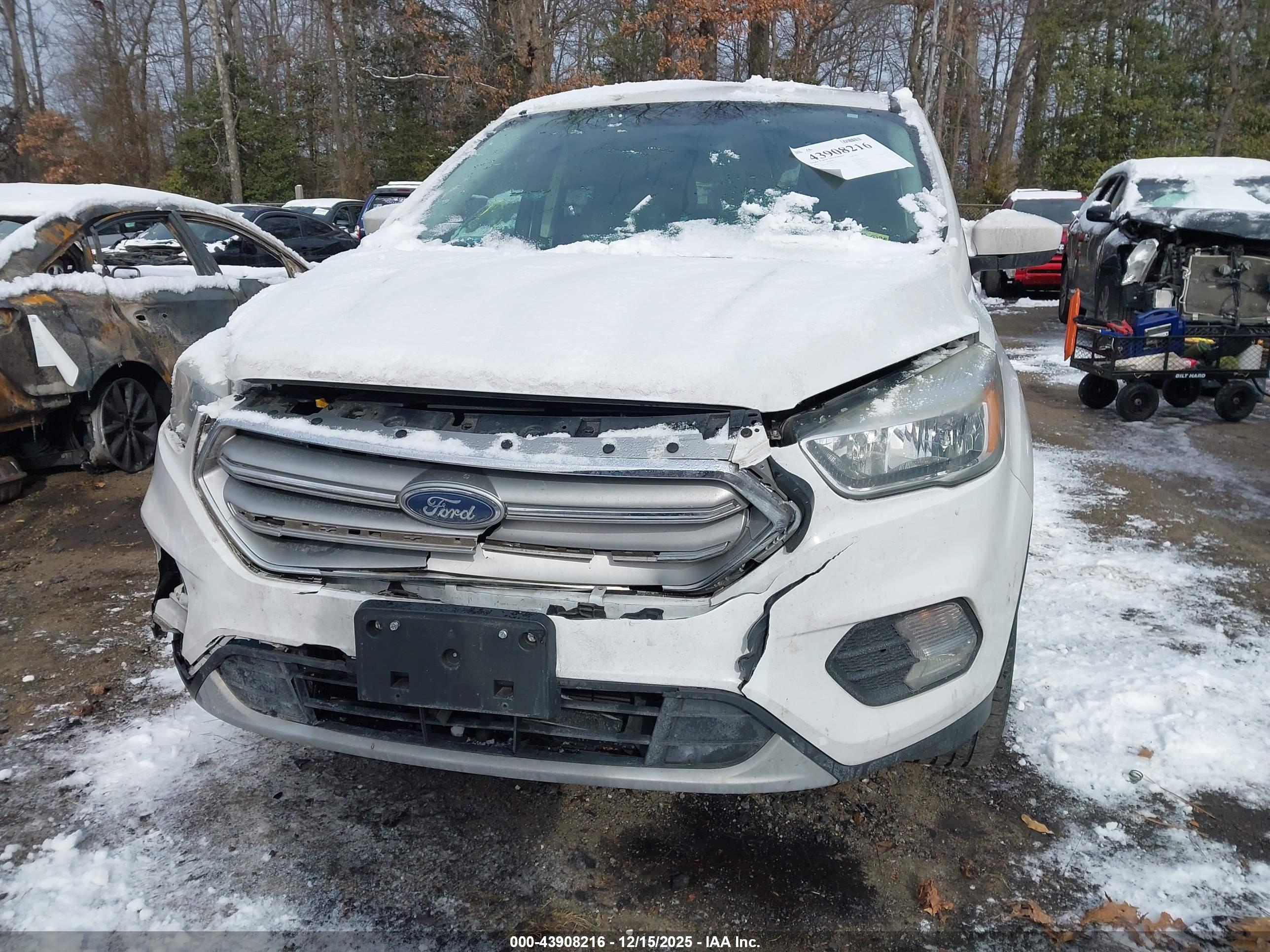 FORD ESCAPE image 6