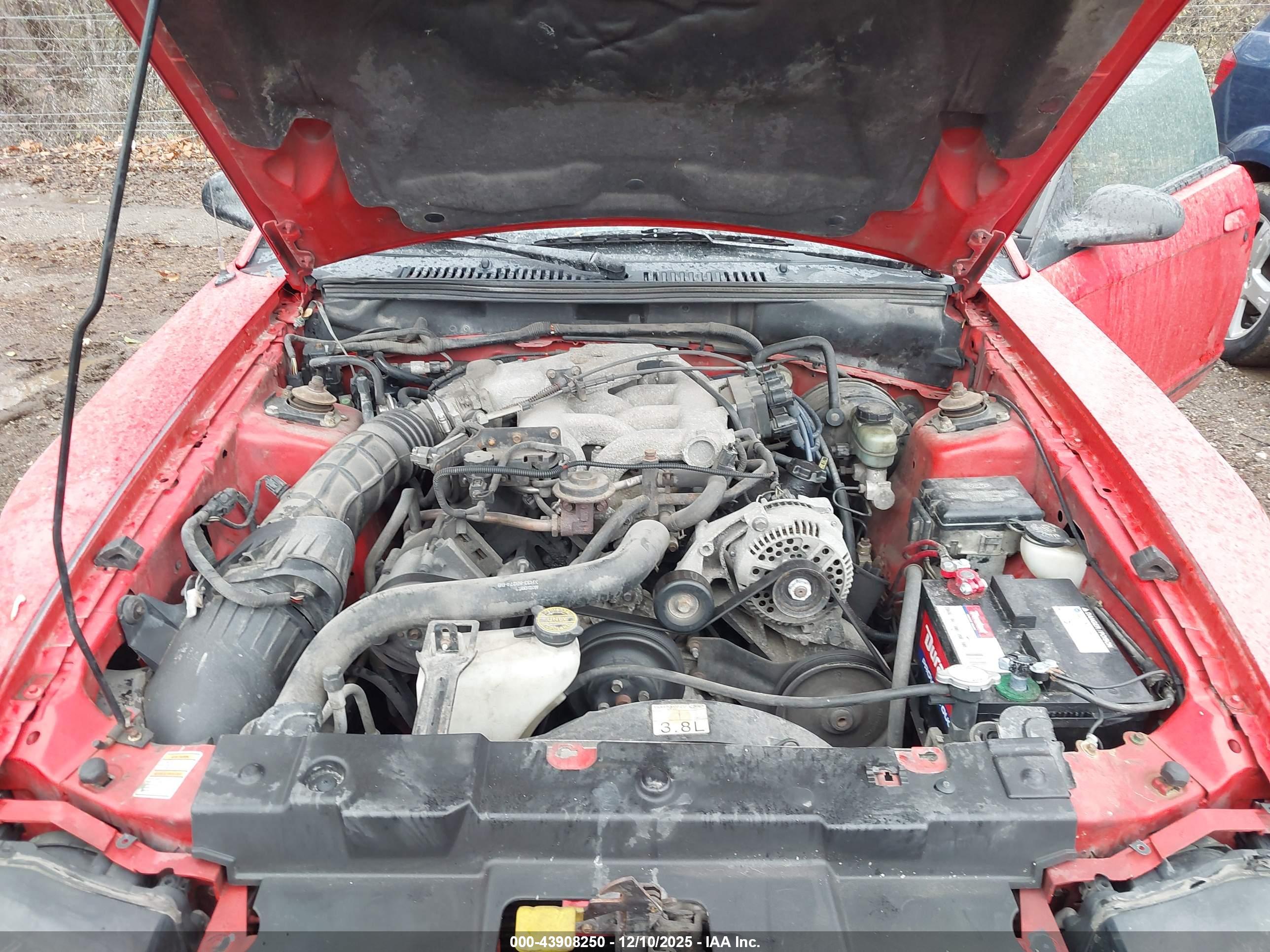 FORD MUSTANG image 10