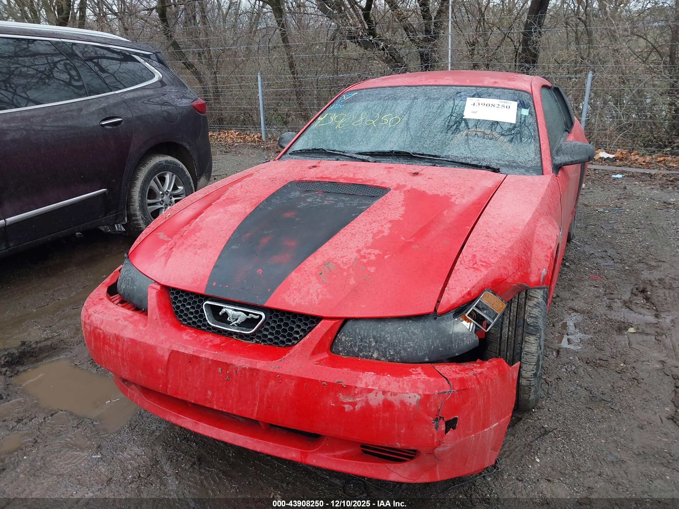FORD MUSTANG image 6