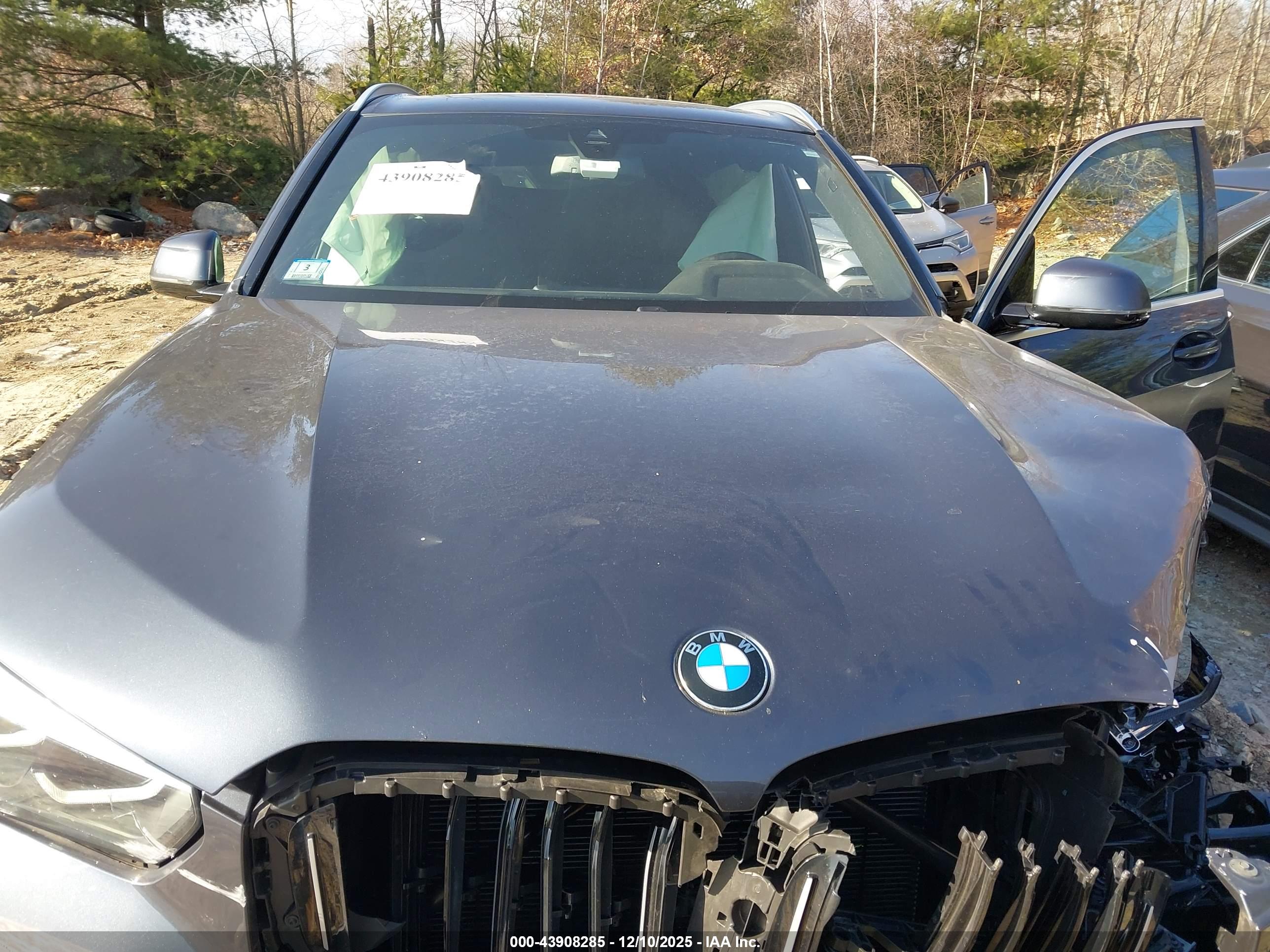 BMW X5 image 10