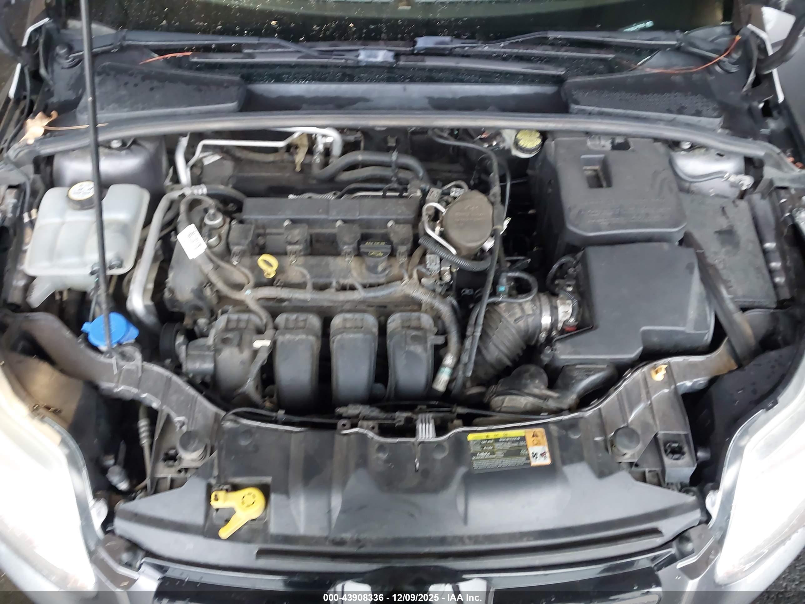 FORD FOCUS image 10