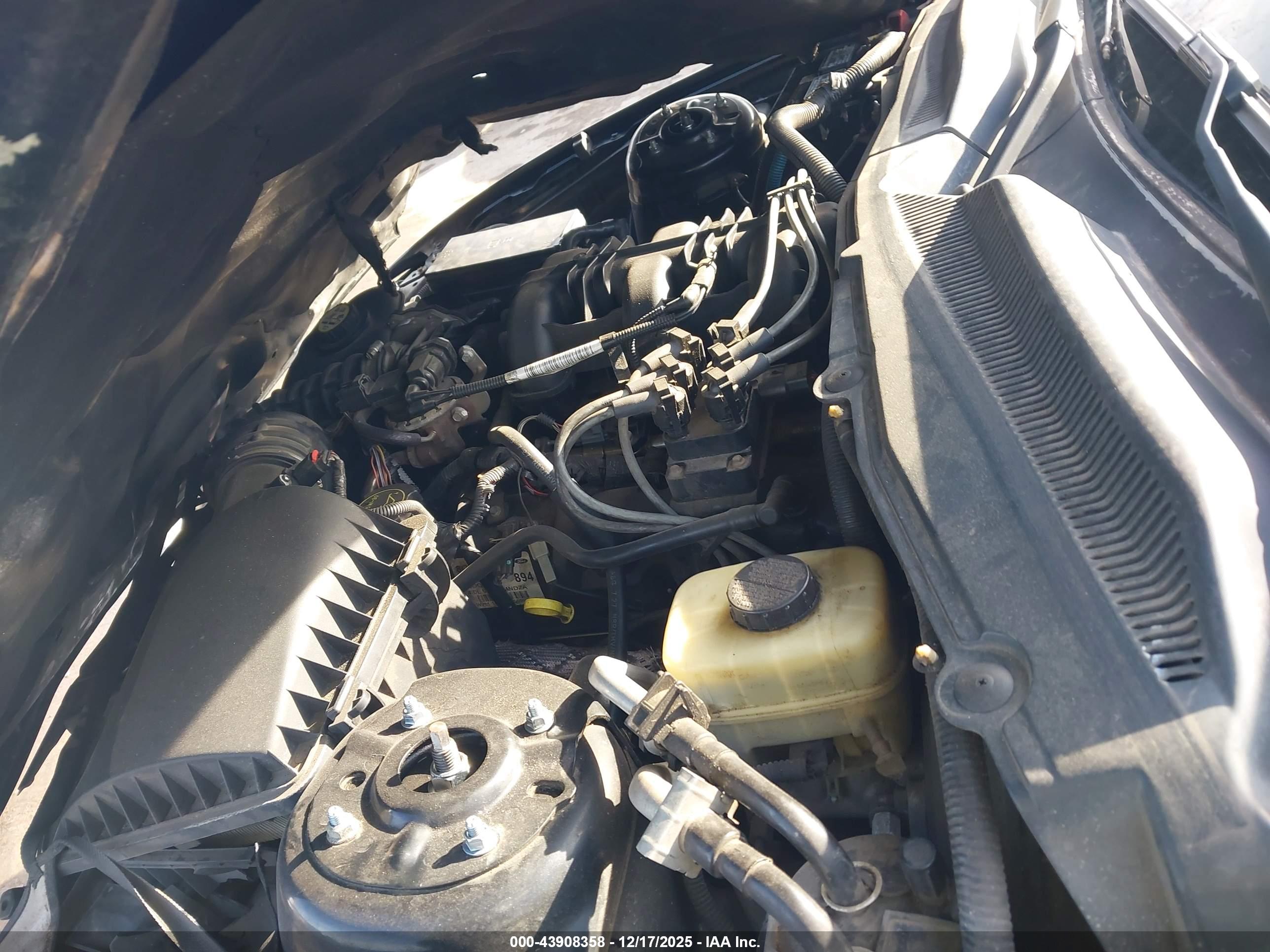 FORD MUSTANG image 10