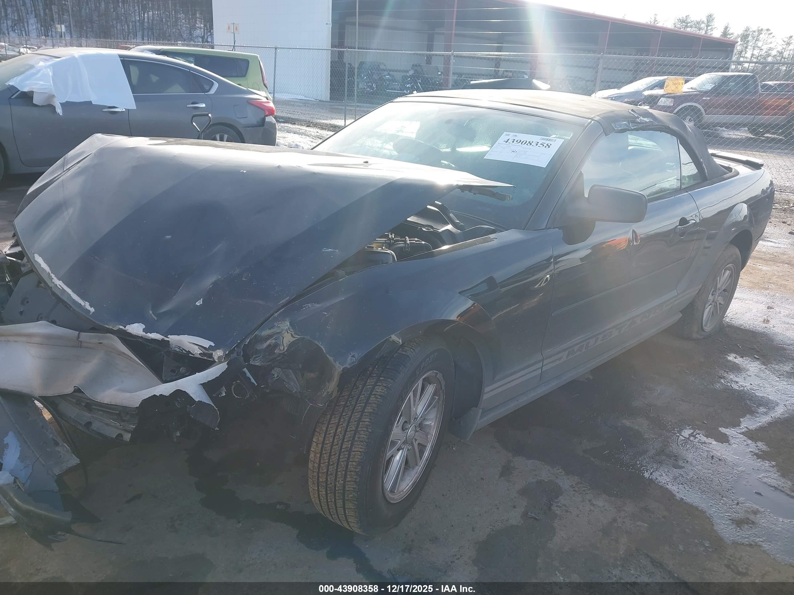 FORD MUSTANG image 2