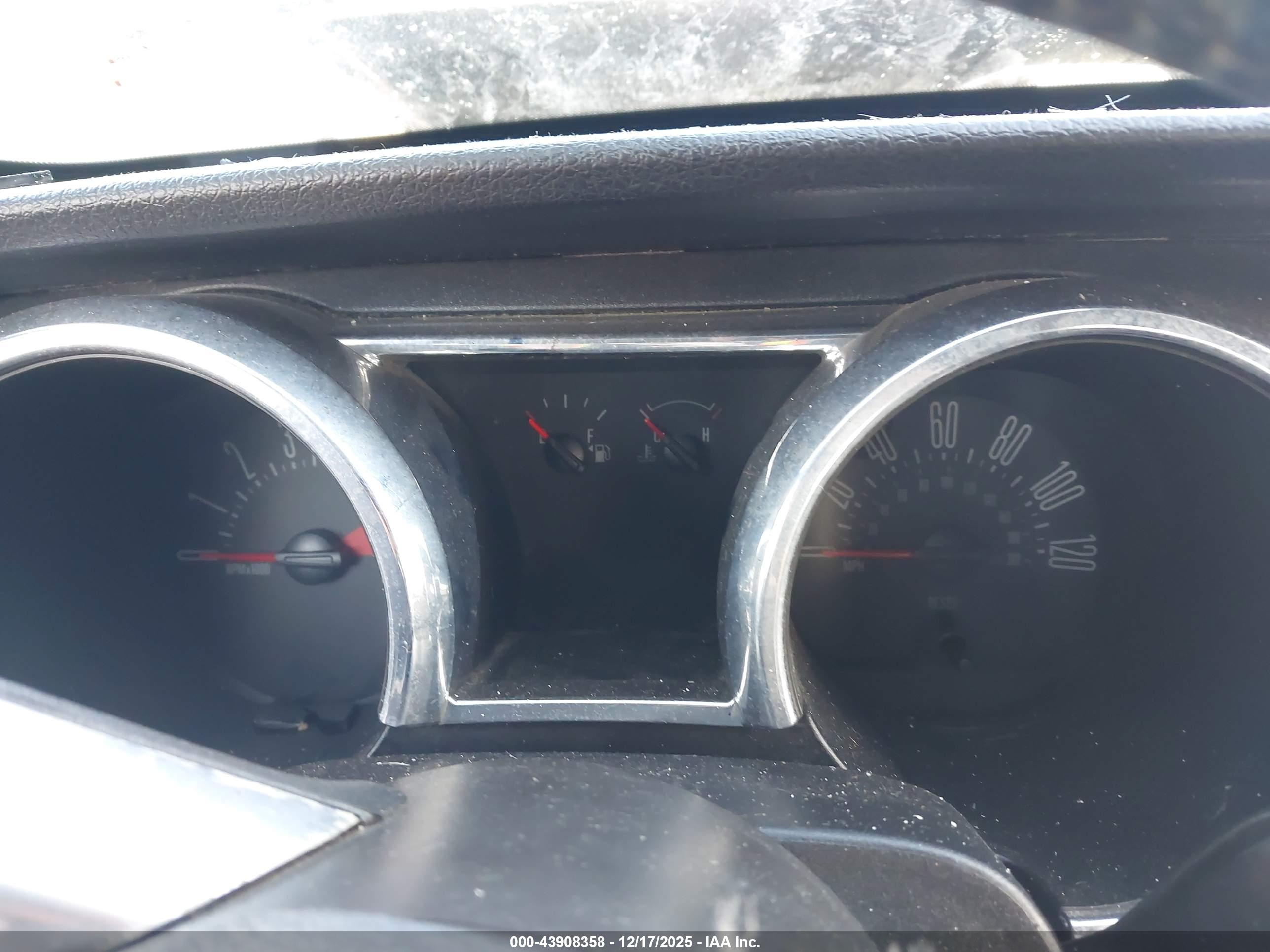 FORD MUSTANG image 7