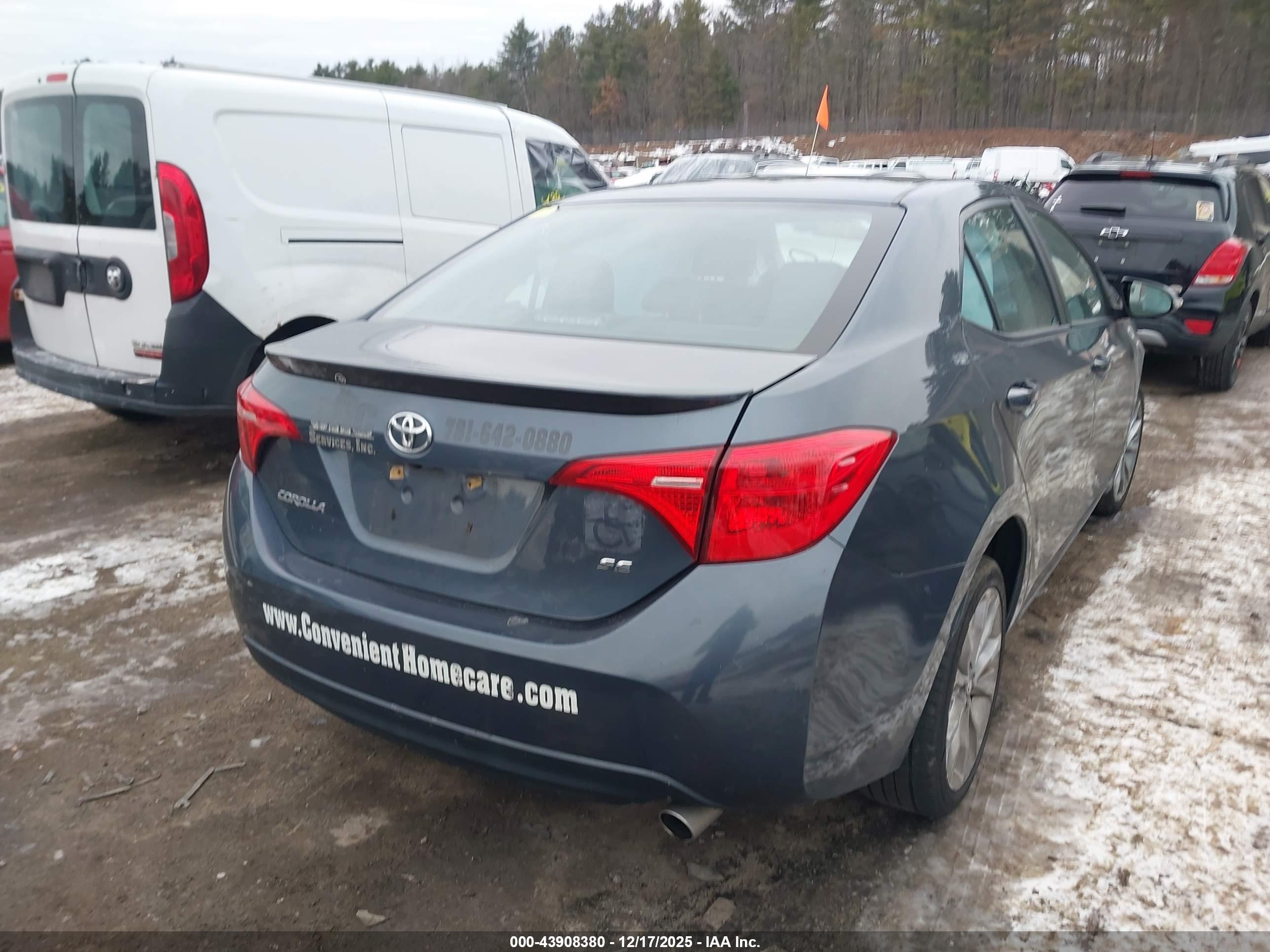 TOYOTA COROLLA image 4