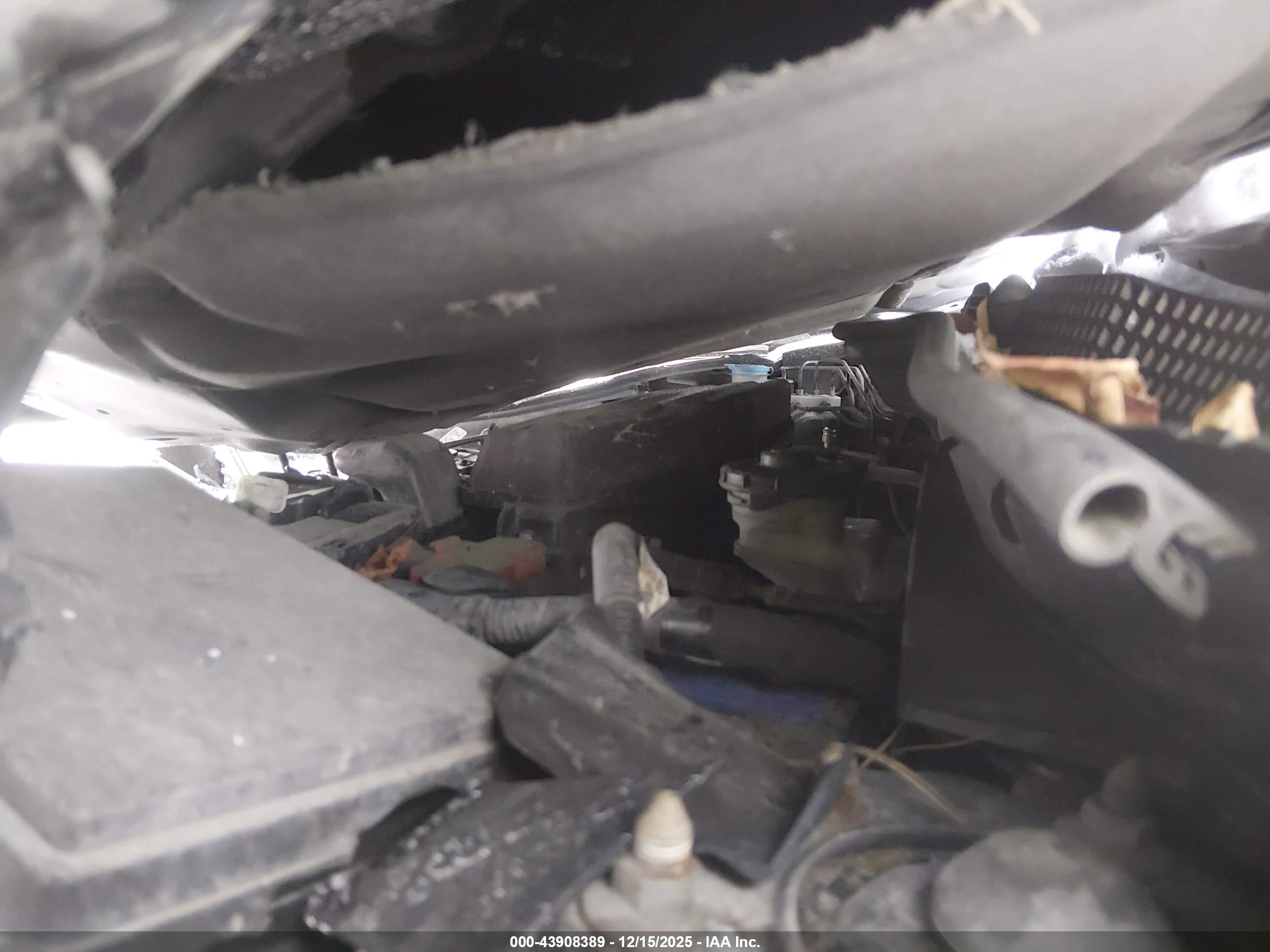 HONDA CR-V image 10