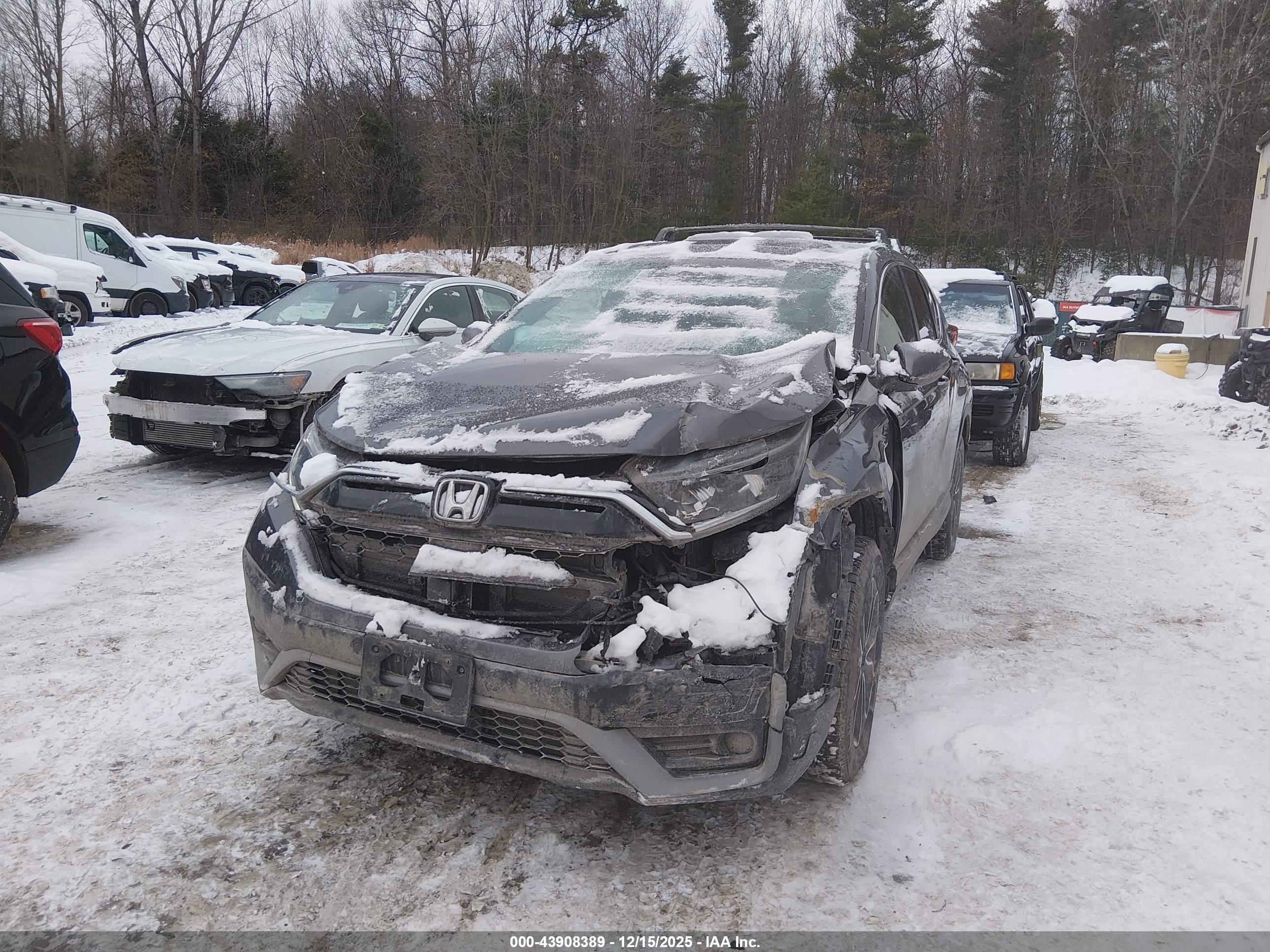 HONDA CR-V image 6