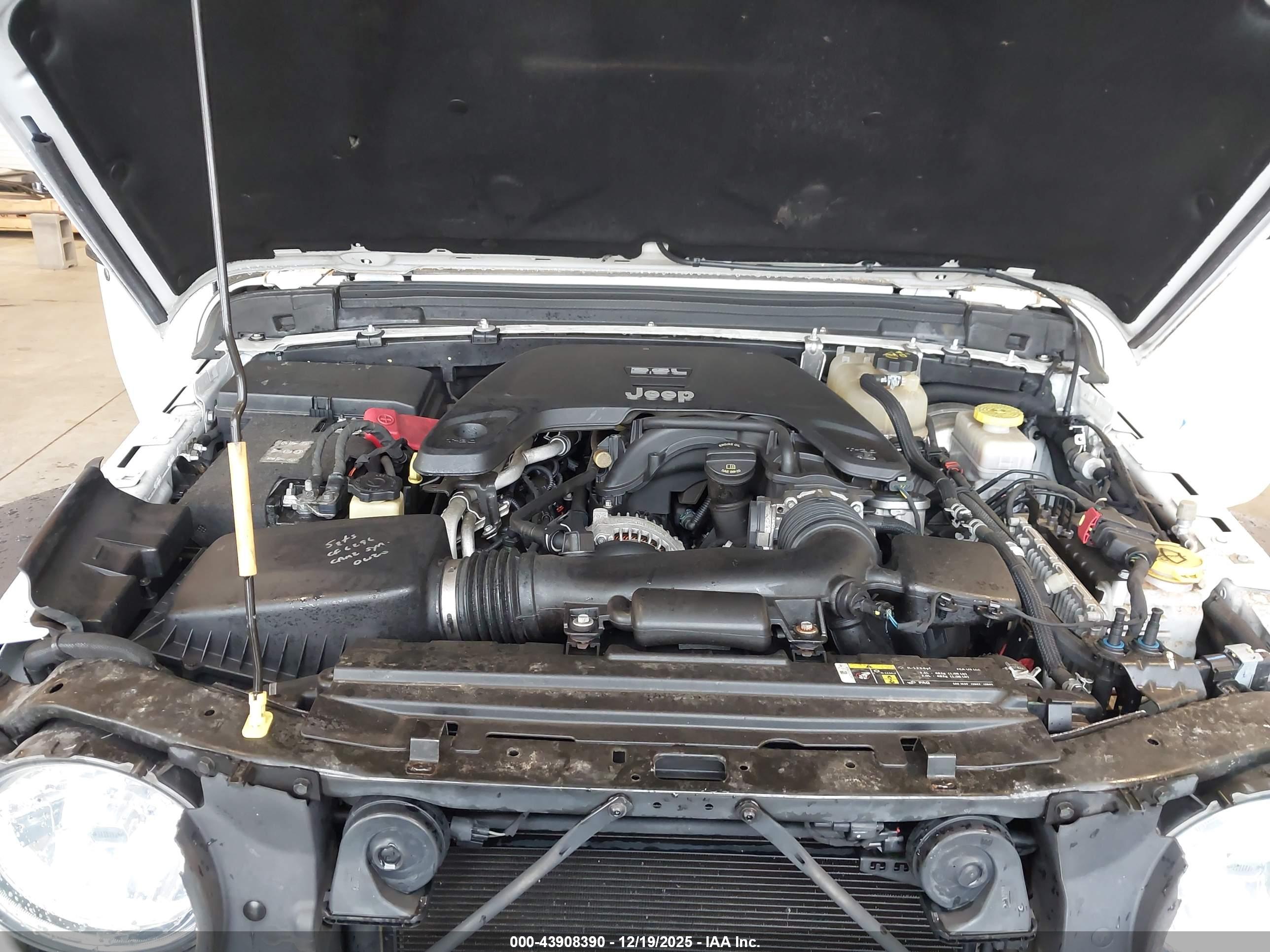JEEP WRANGLER image 10