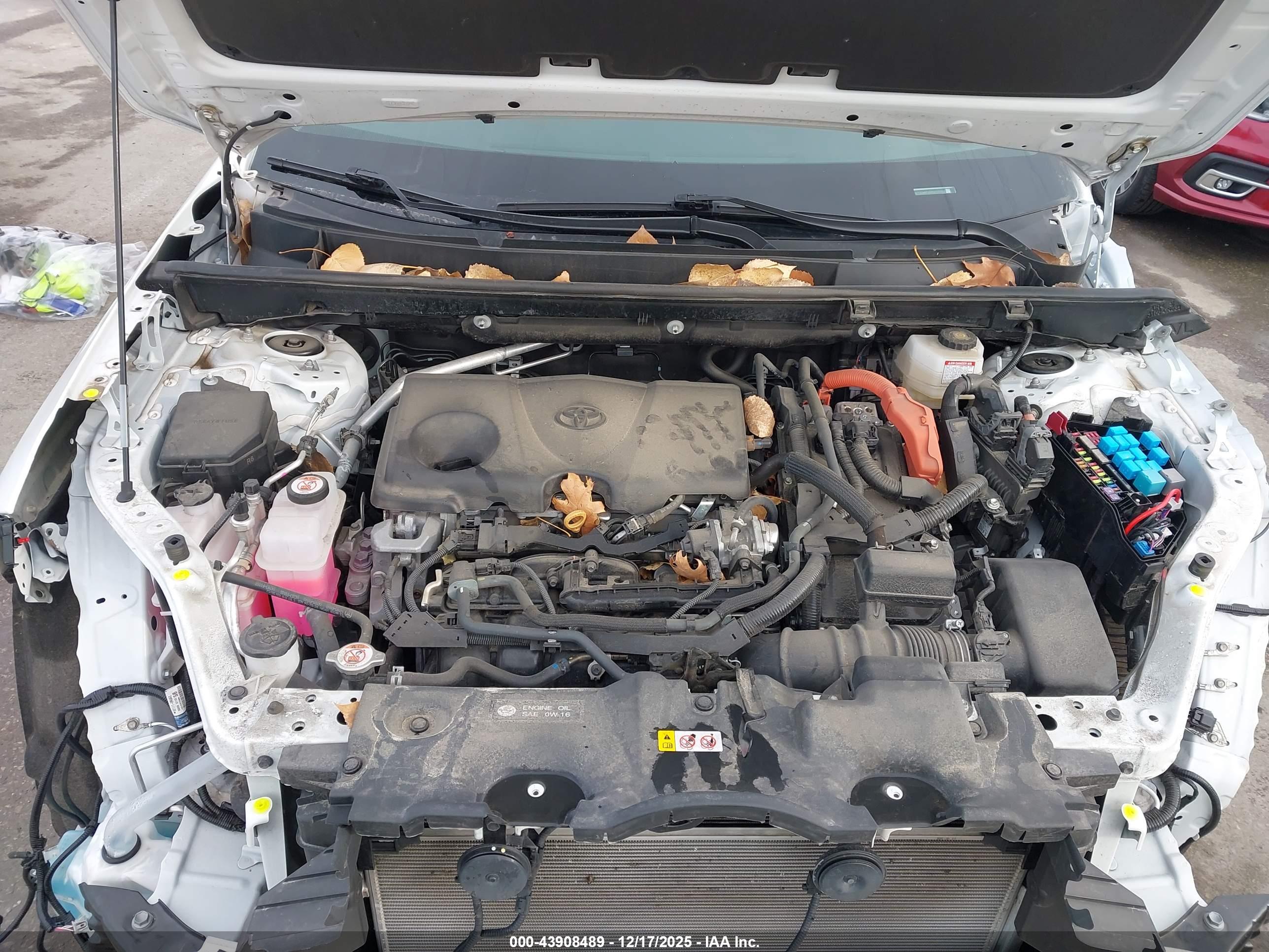 TOYOTA RAV4 image 10
