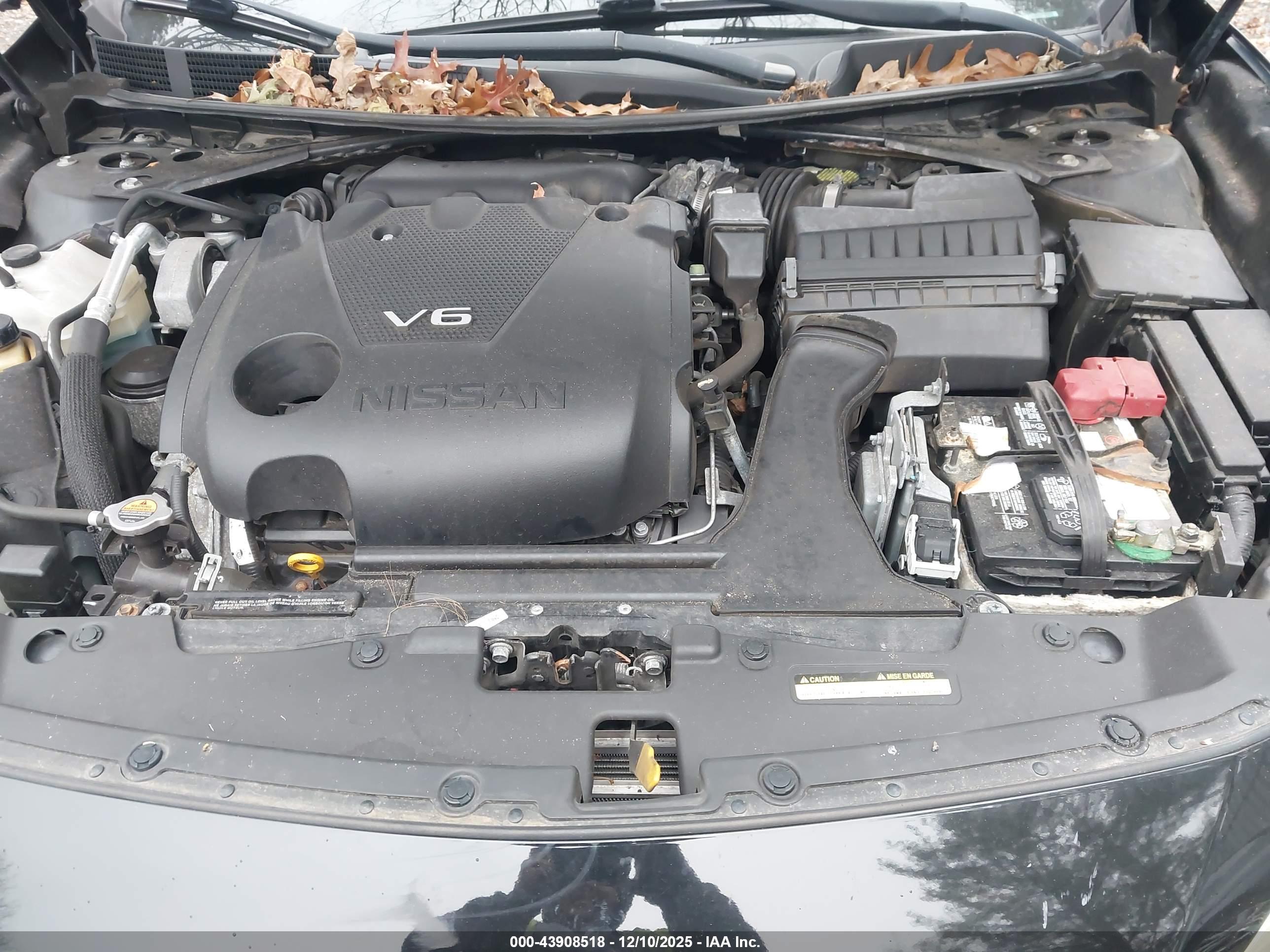 NISSAN MAXIMA image 10