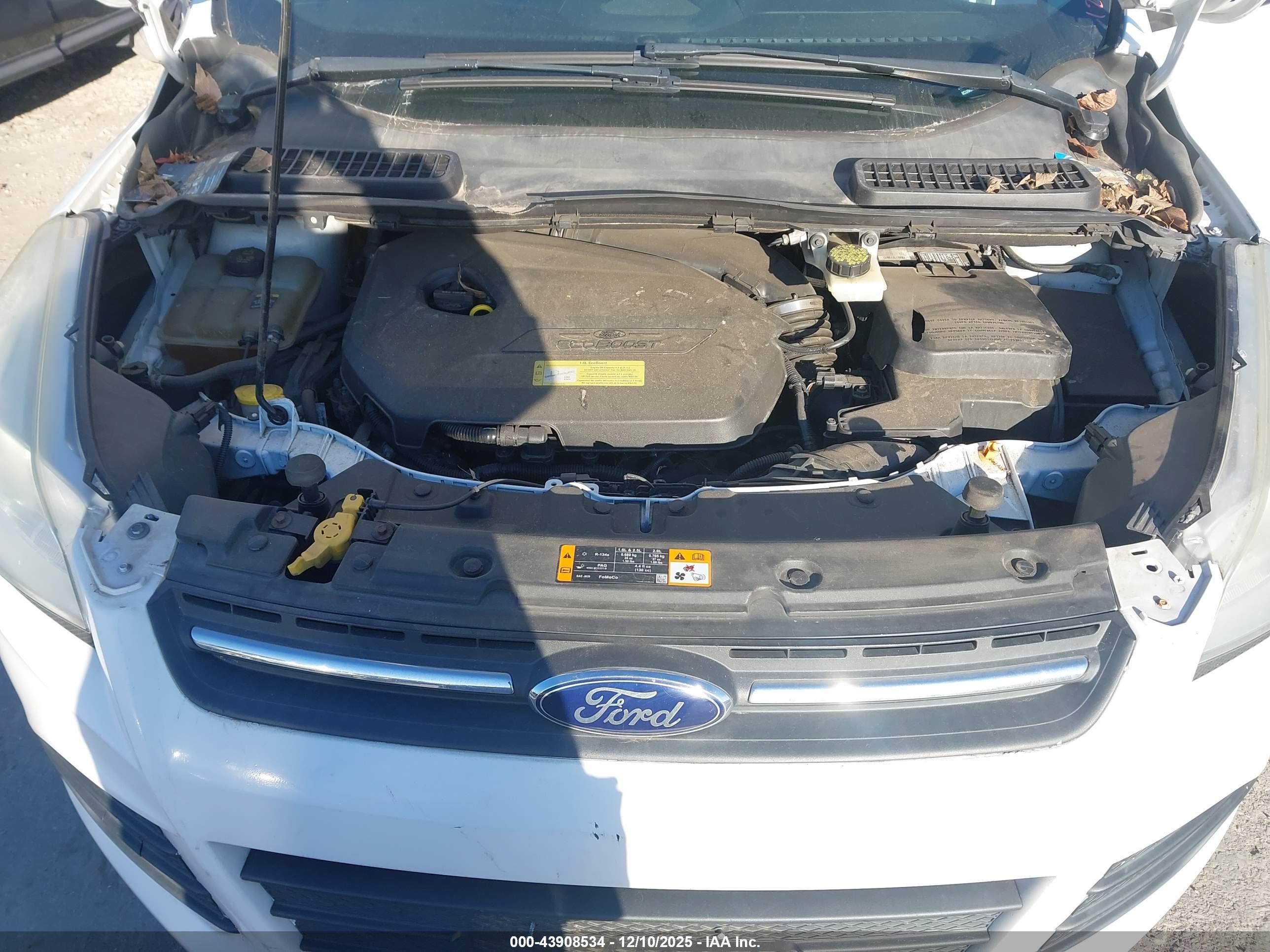 FORD ESCAPE image 10