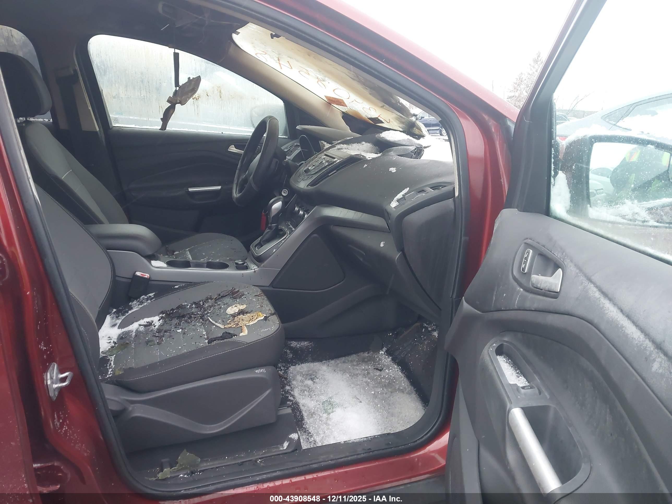 FORD ESCAPE image 5
