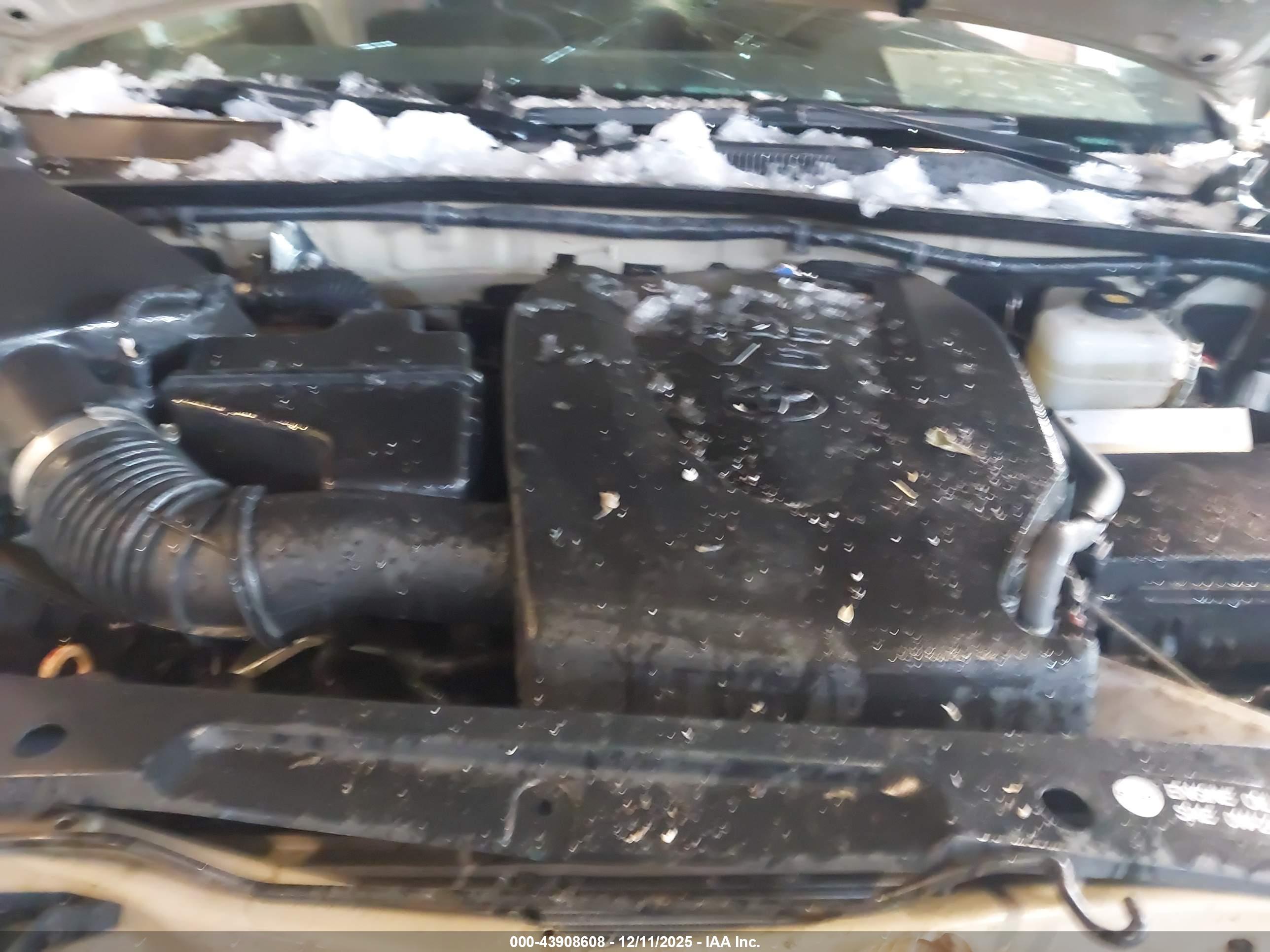 TOYOTA TACOMA image 10