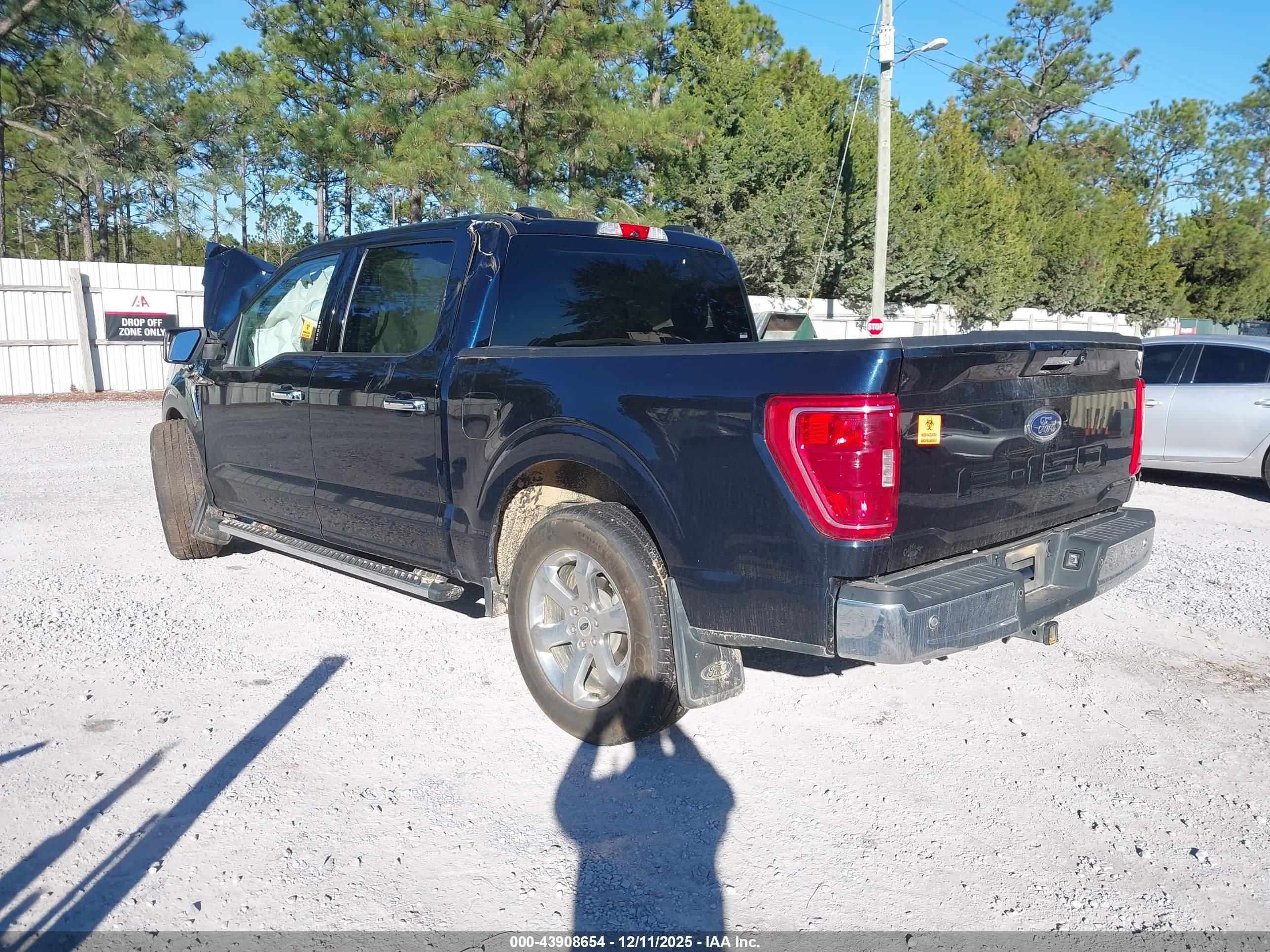 FORD F-150 image 3