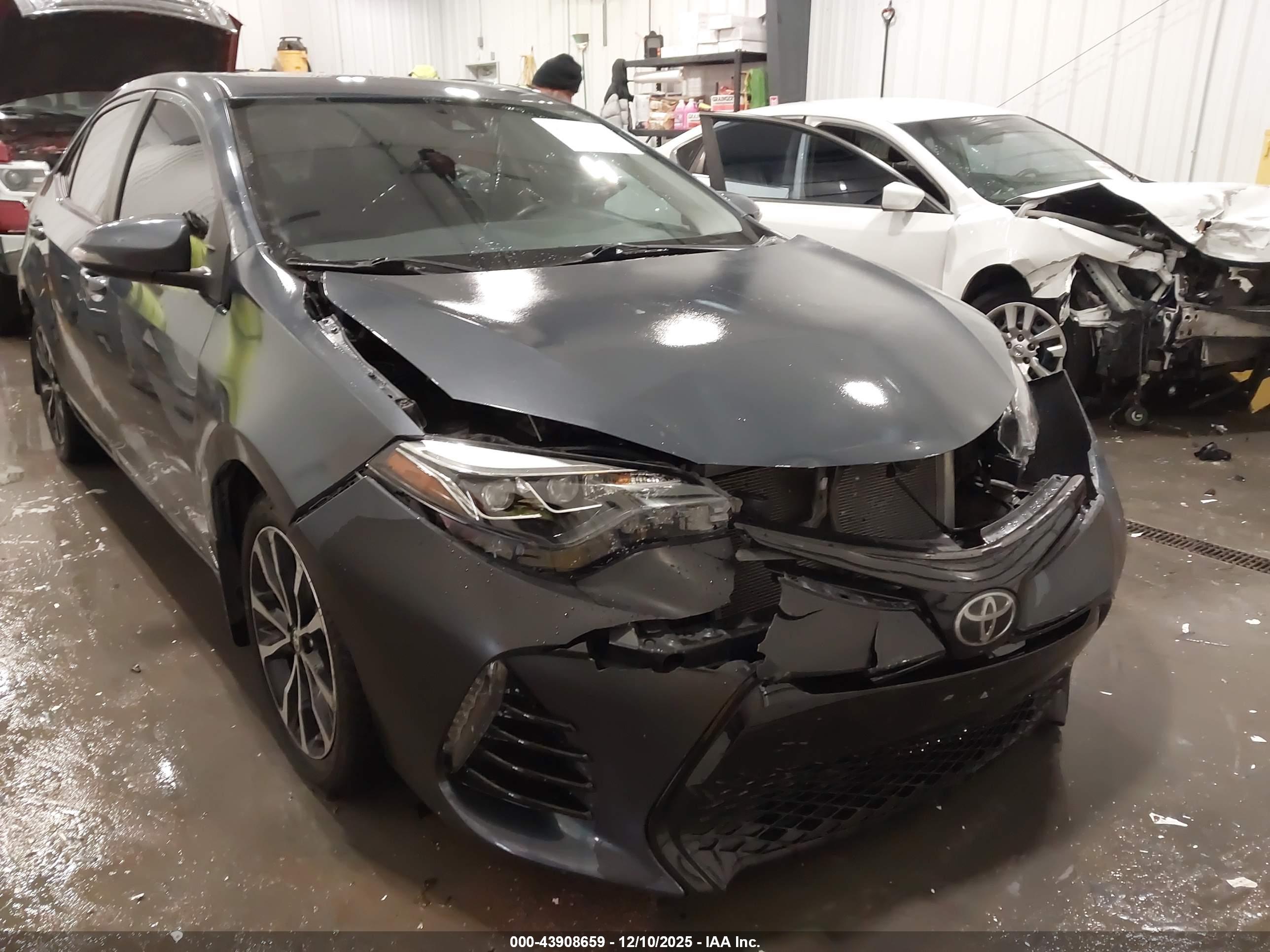 TOYOTA COROLLA image 6