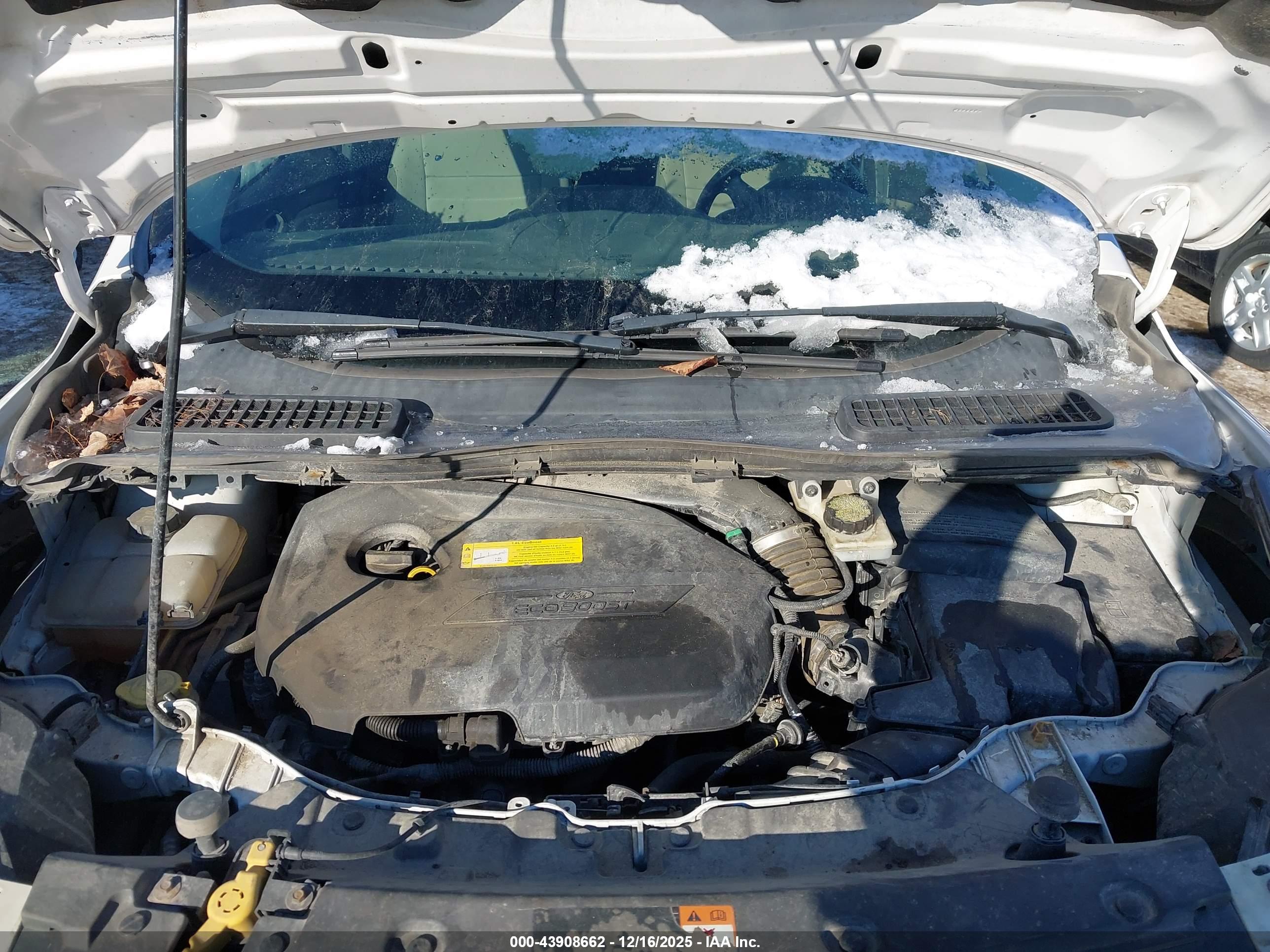 FORD ESCAPE image 10
