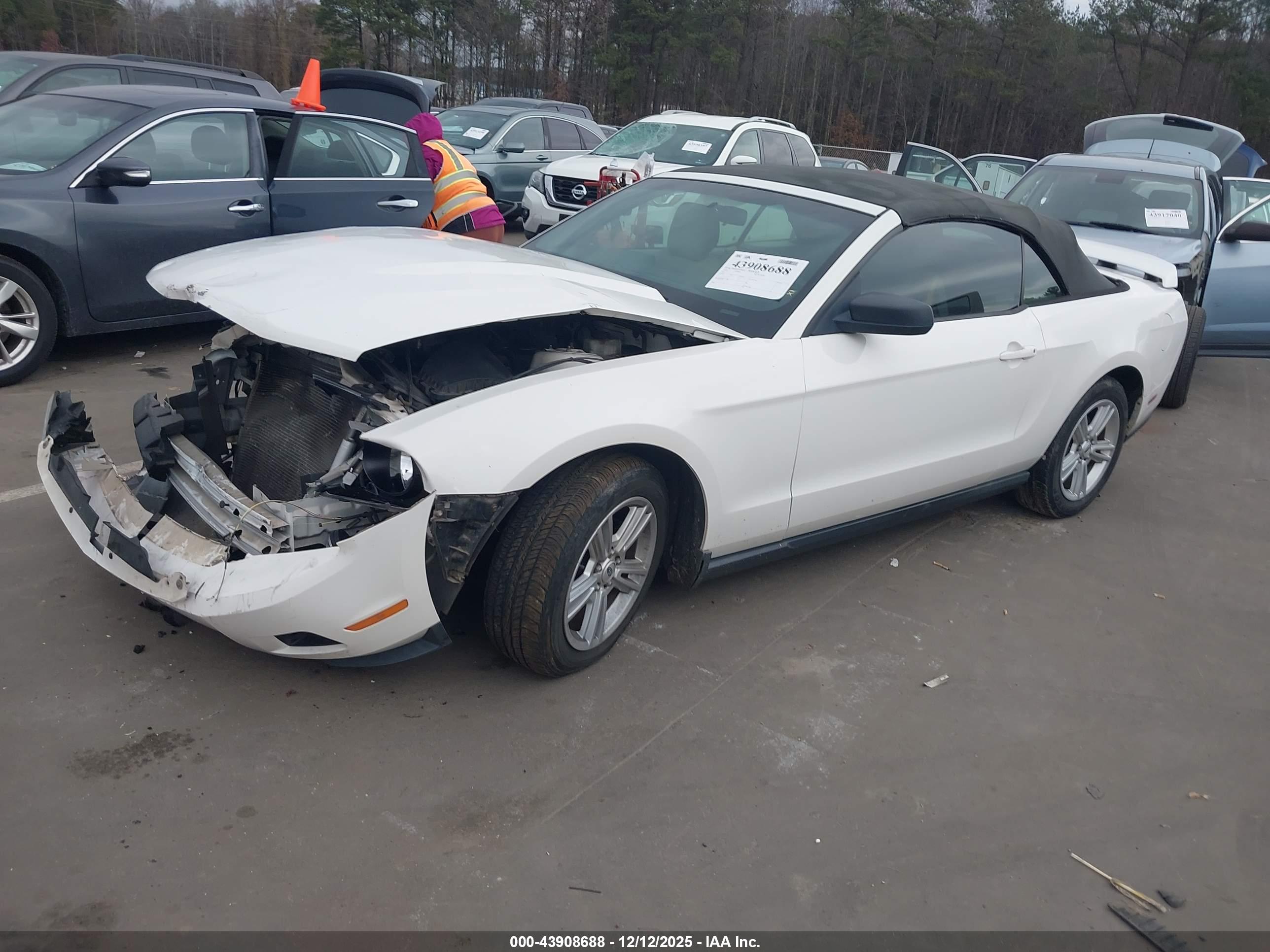 FORD MUSTANG image 2