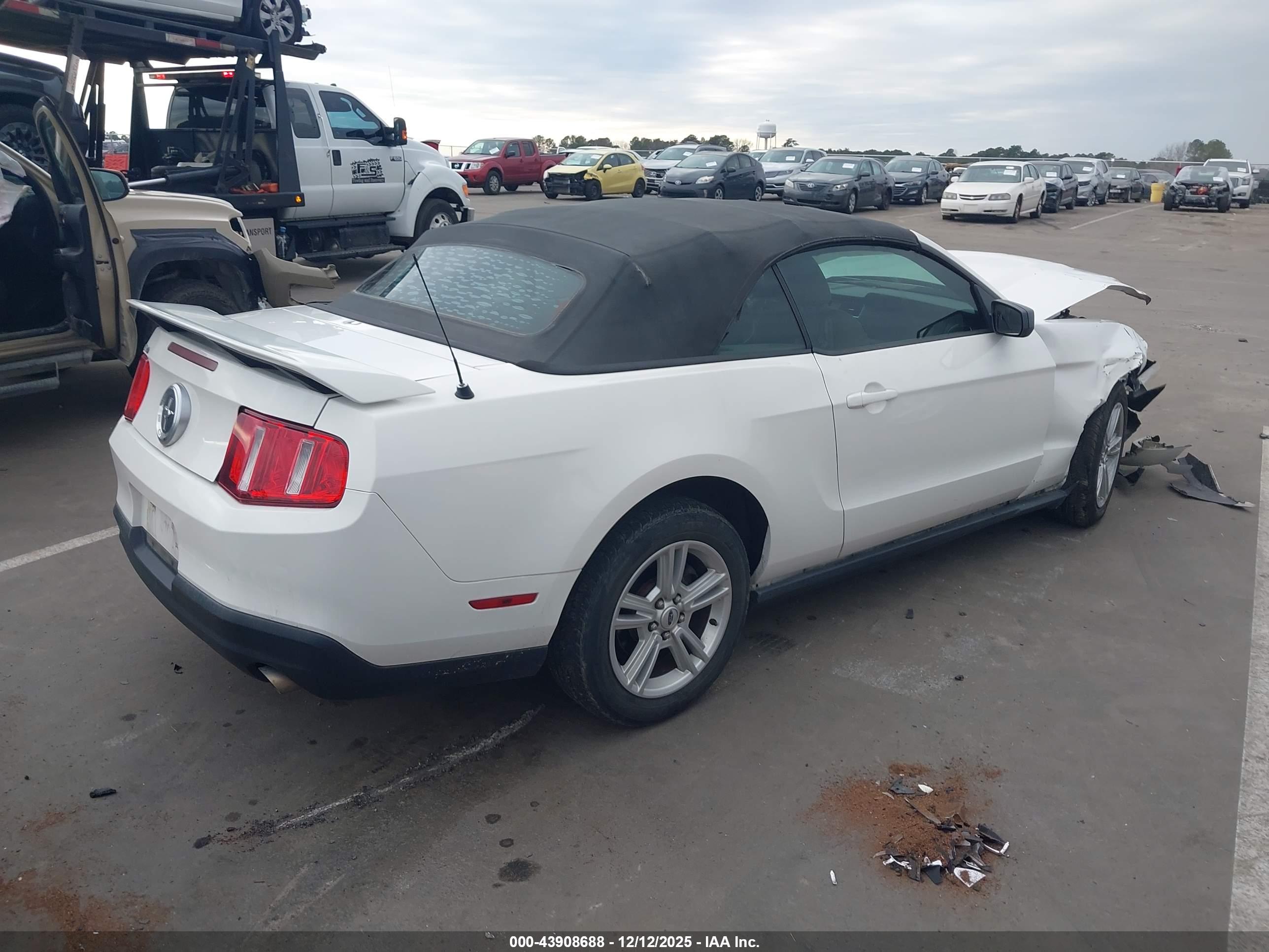 FORD MUSTANG image 4