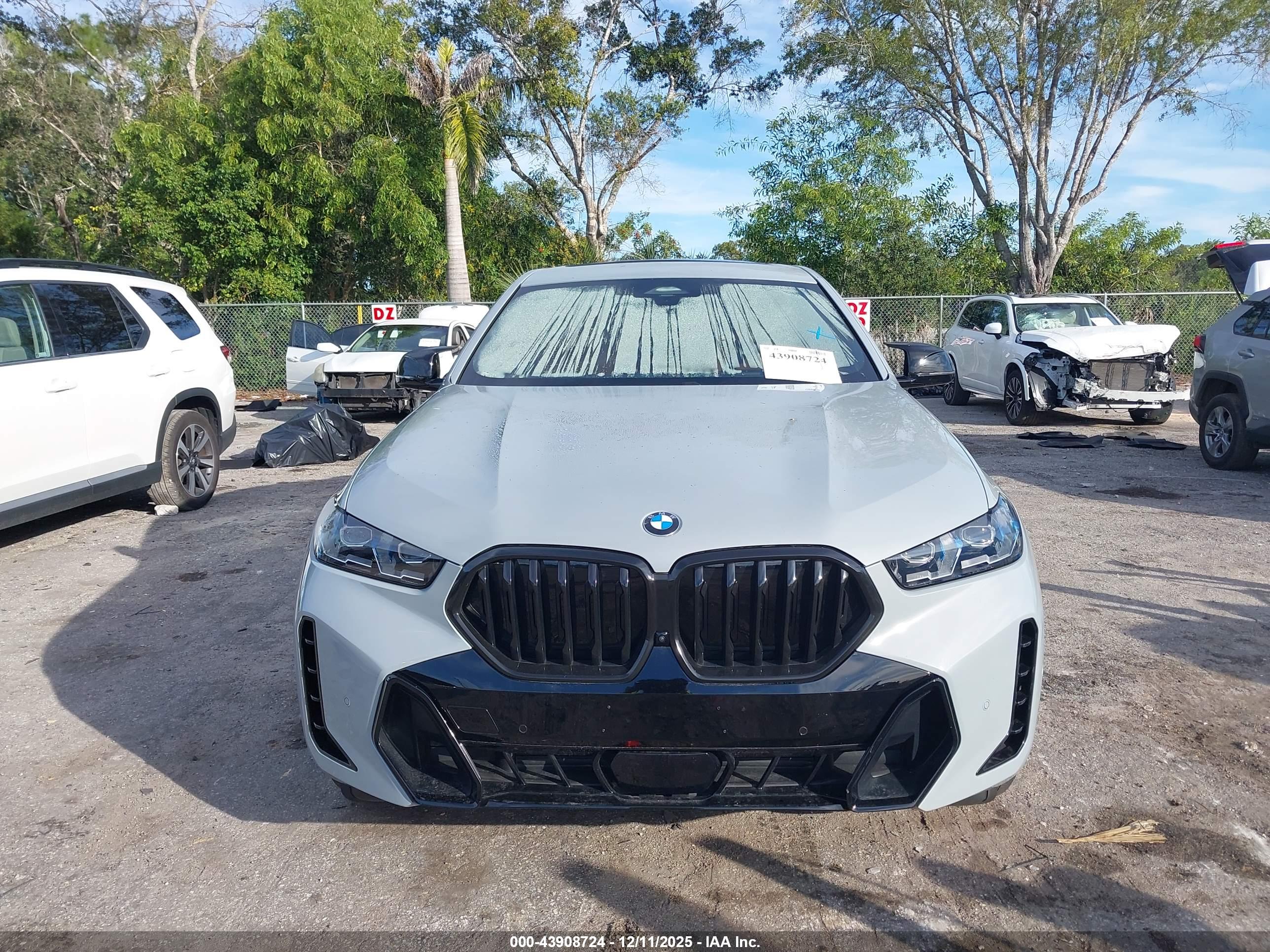 BMW X6 image 6
