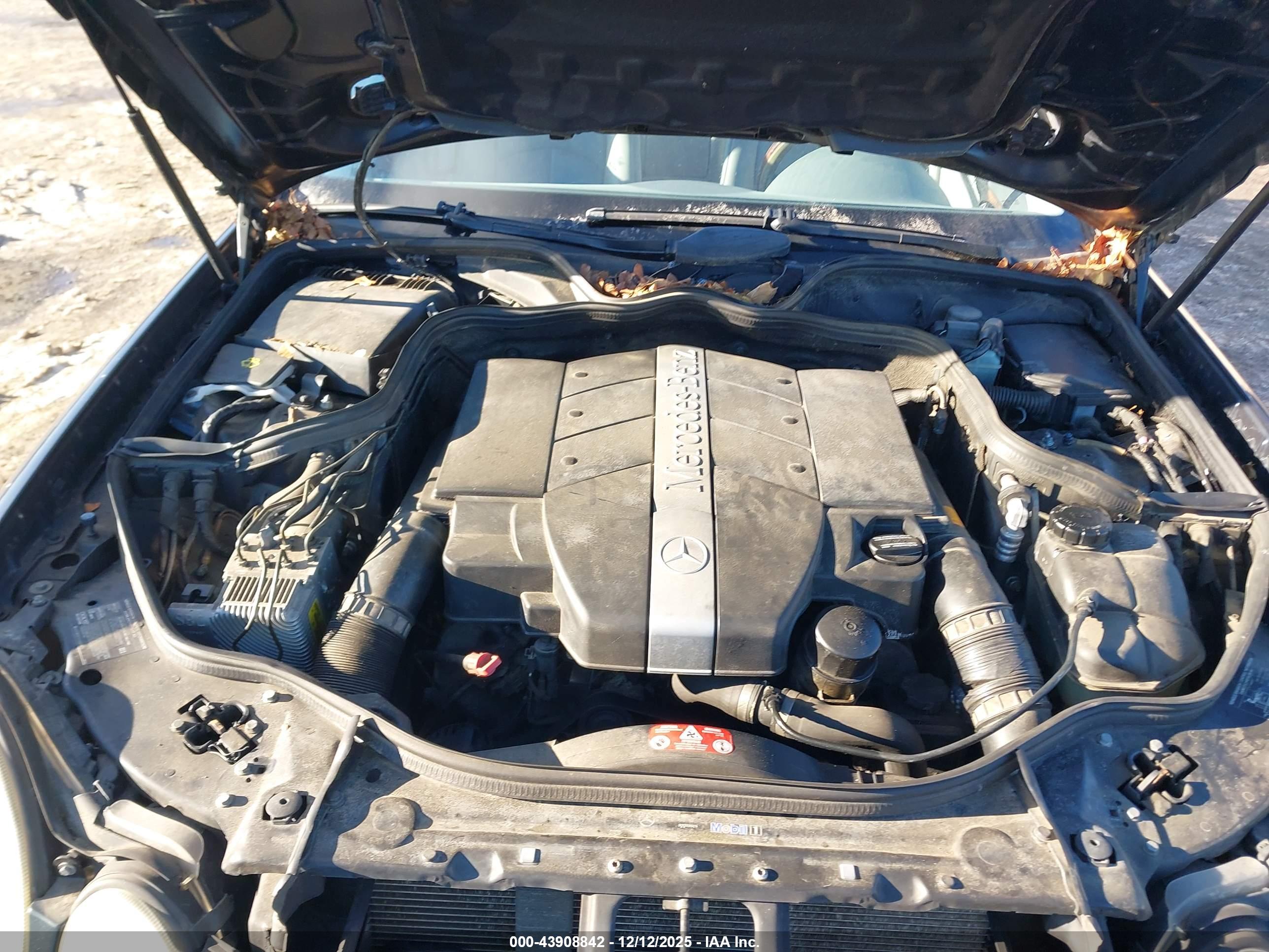 MERCEDES-BENZ E image 10