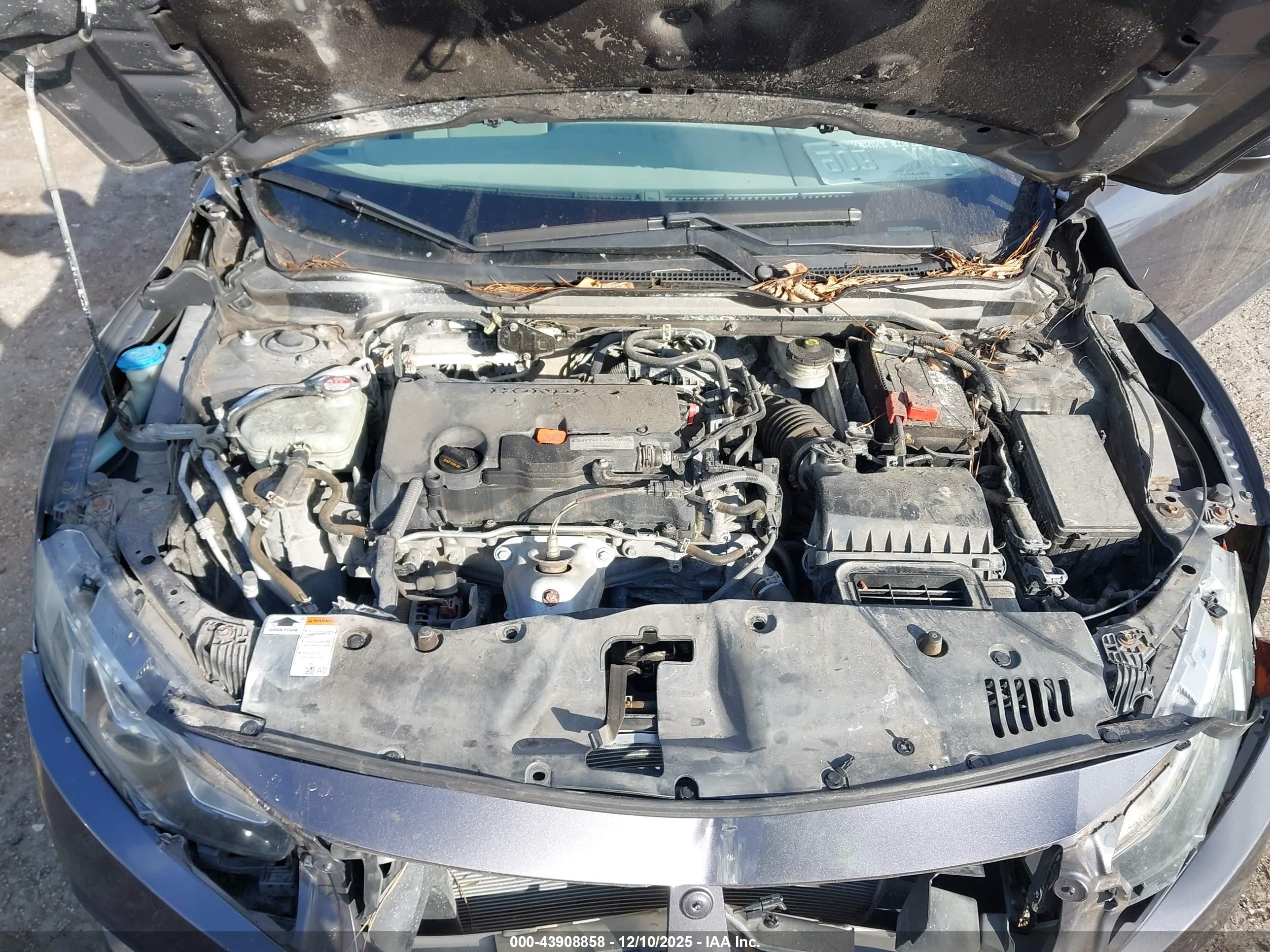 HONDA CIVIC image 10
